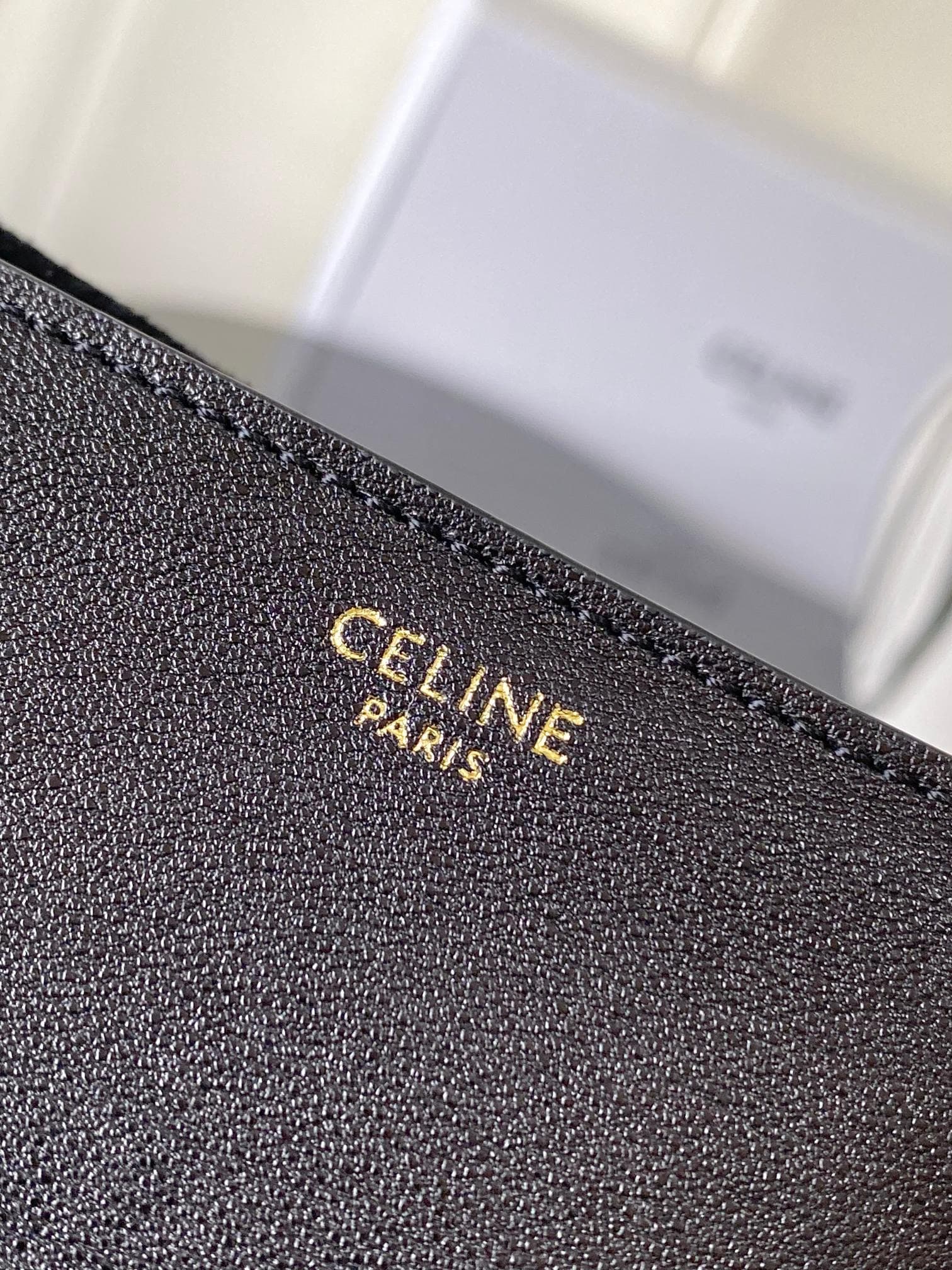 Celine Pouch 124142