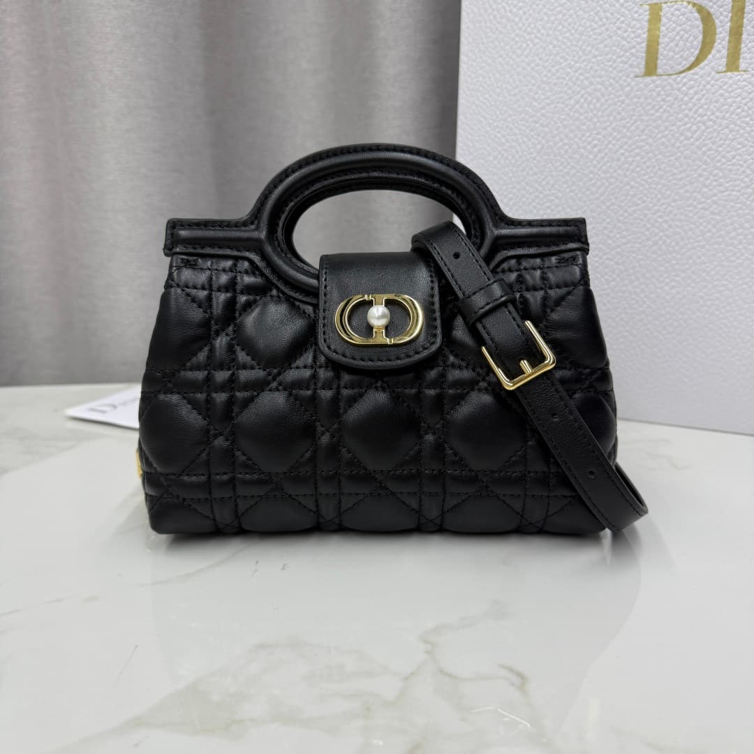 Dior Black Bag S3123