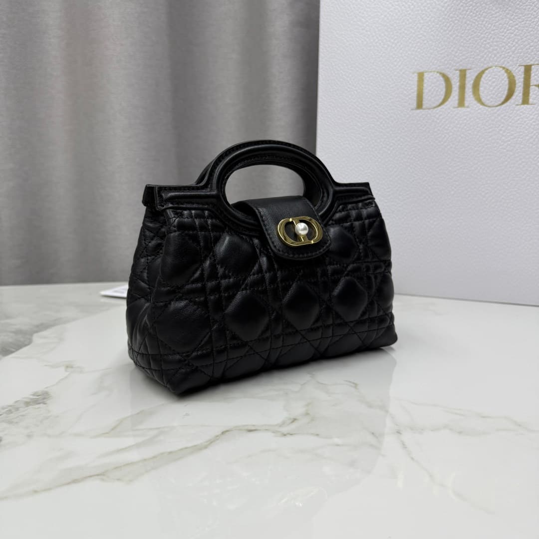 Dior Black Mini Crossbody Bag S3123