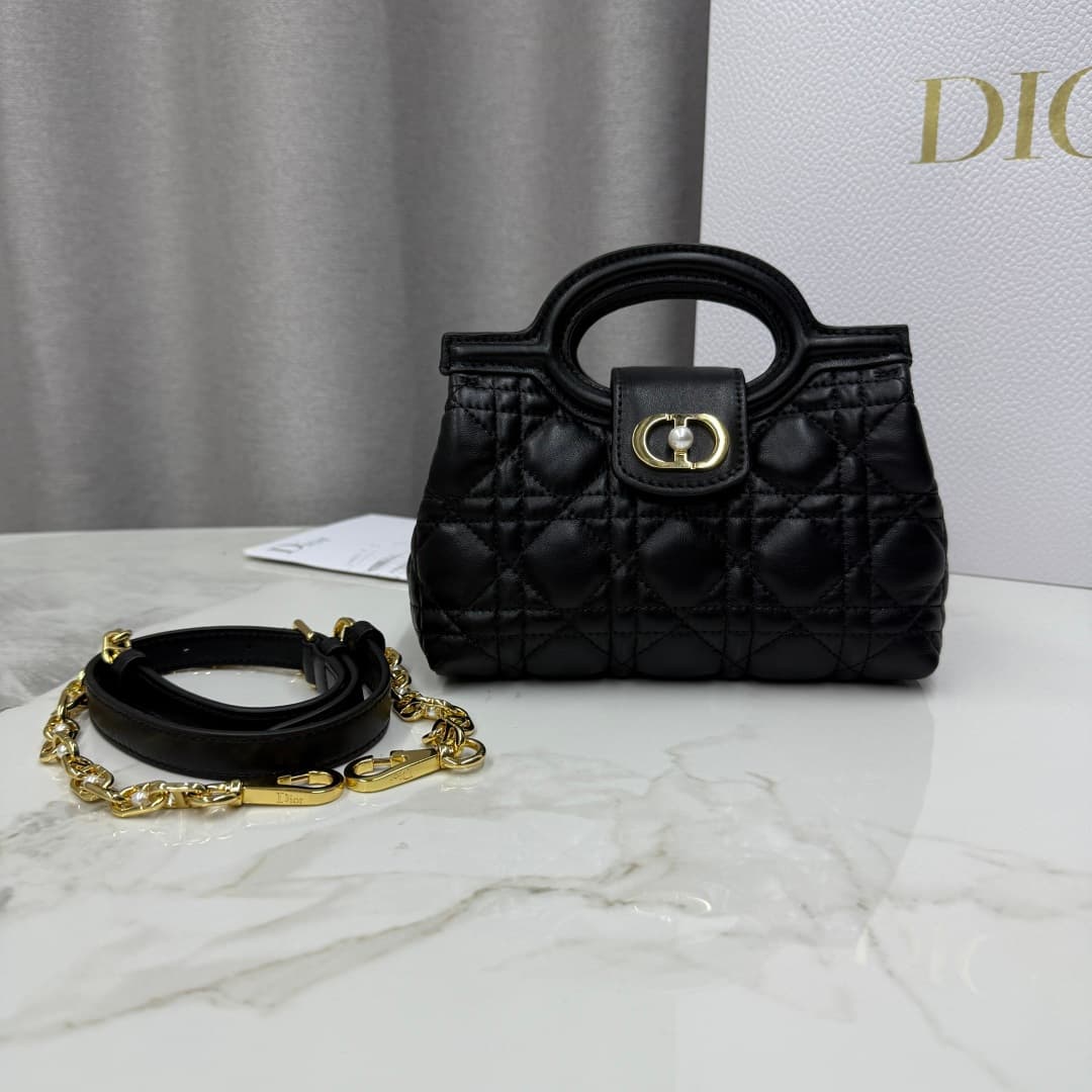 Dior Black Mini Crossbody Bag S3123