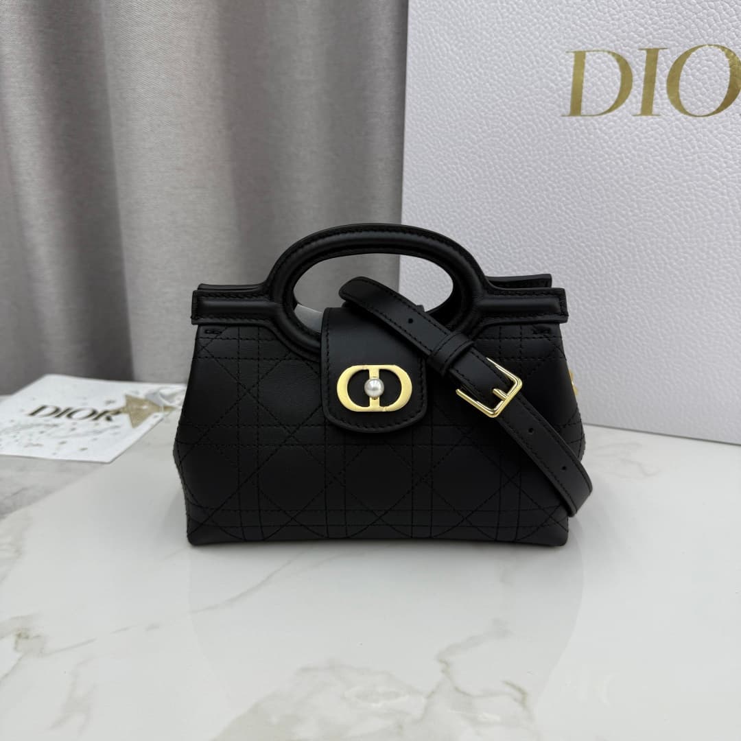 Dior Black Bag S3123