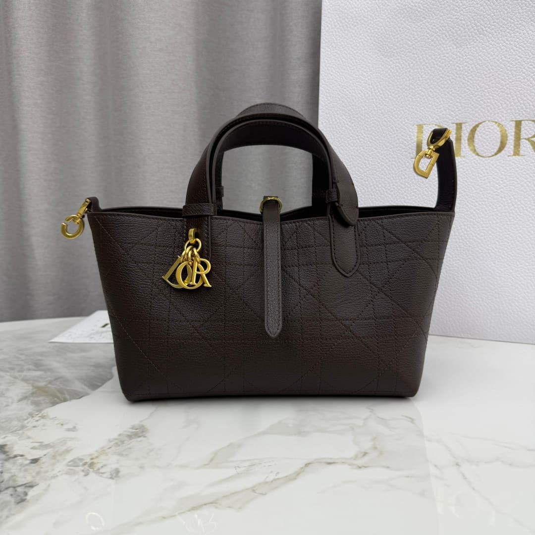 Dior Brown Bag M2822