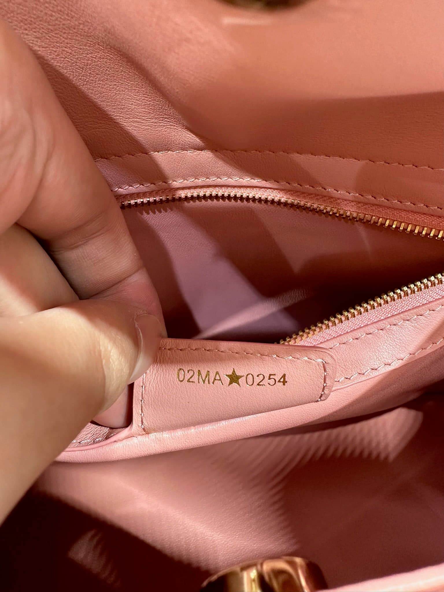 Dior Pink Bag 0737