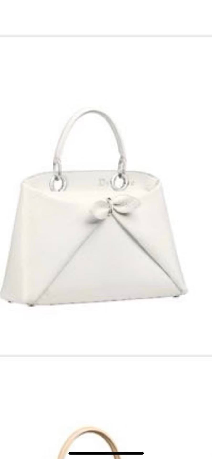 Dior Bag