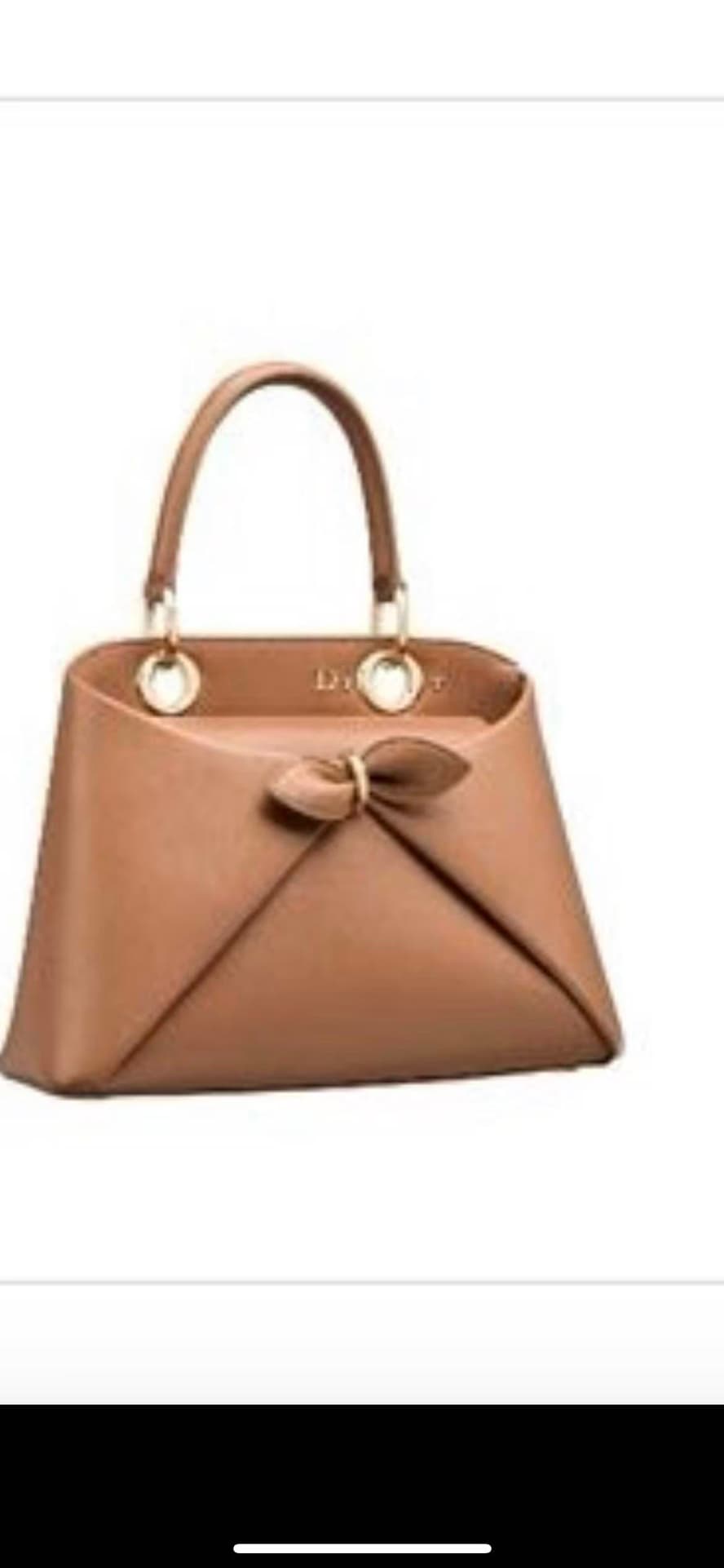 Dior Bag