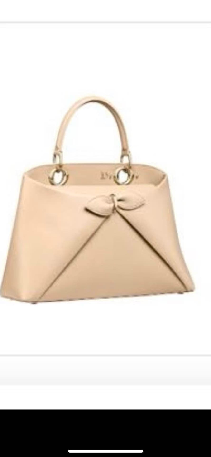 Dior Bag
