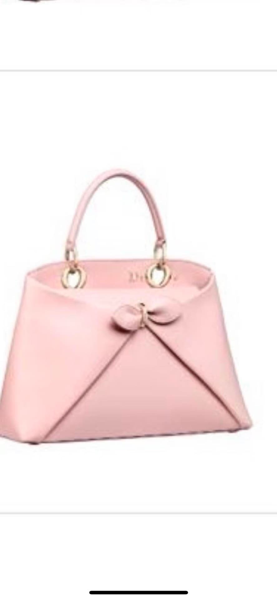 Dior Bag