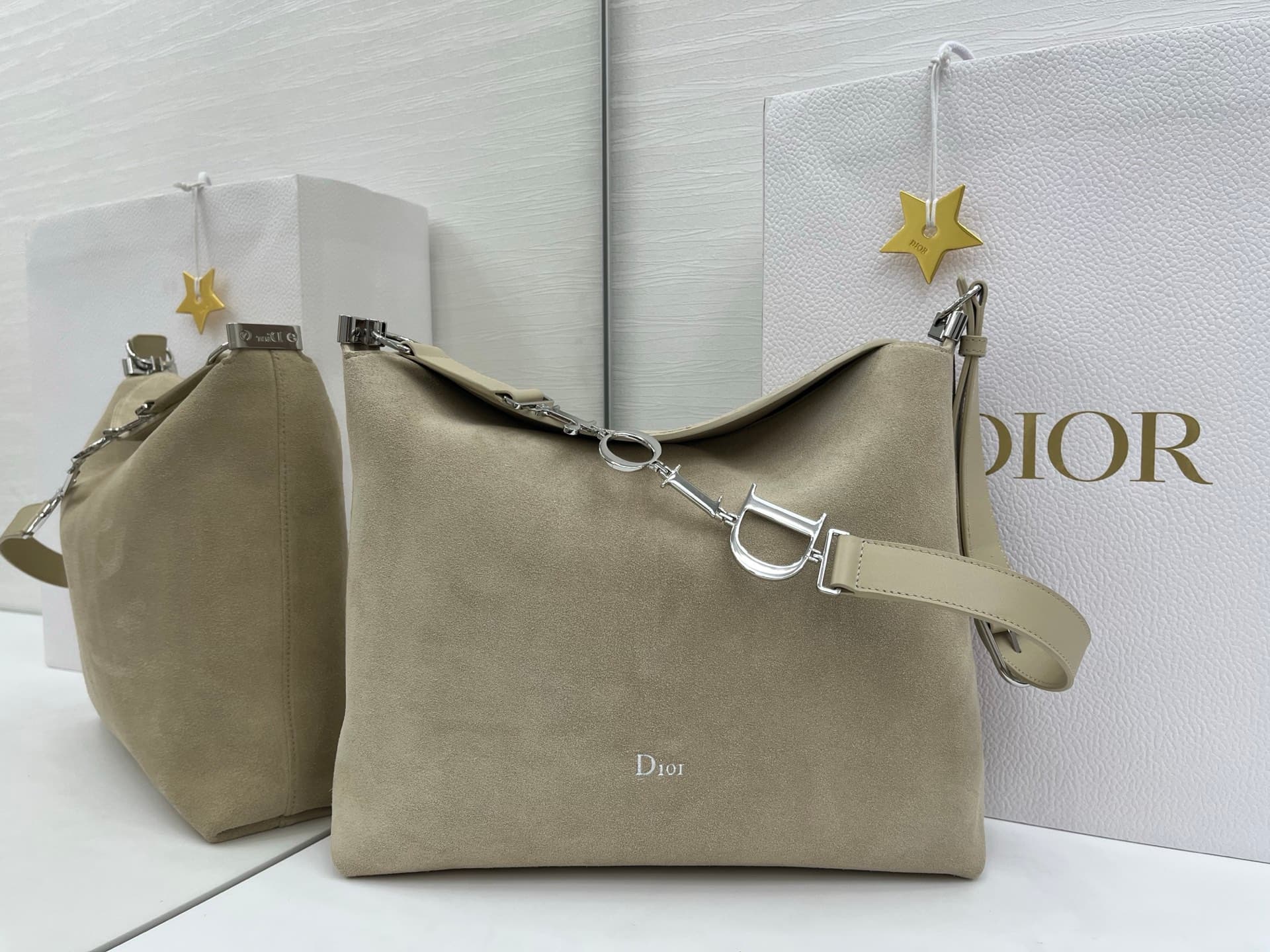 Dior Large Bag