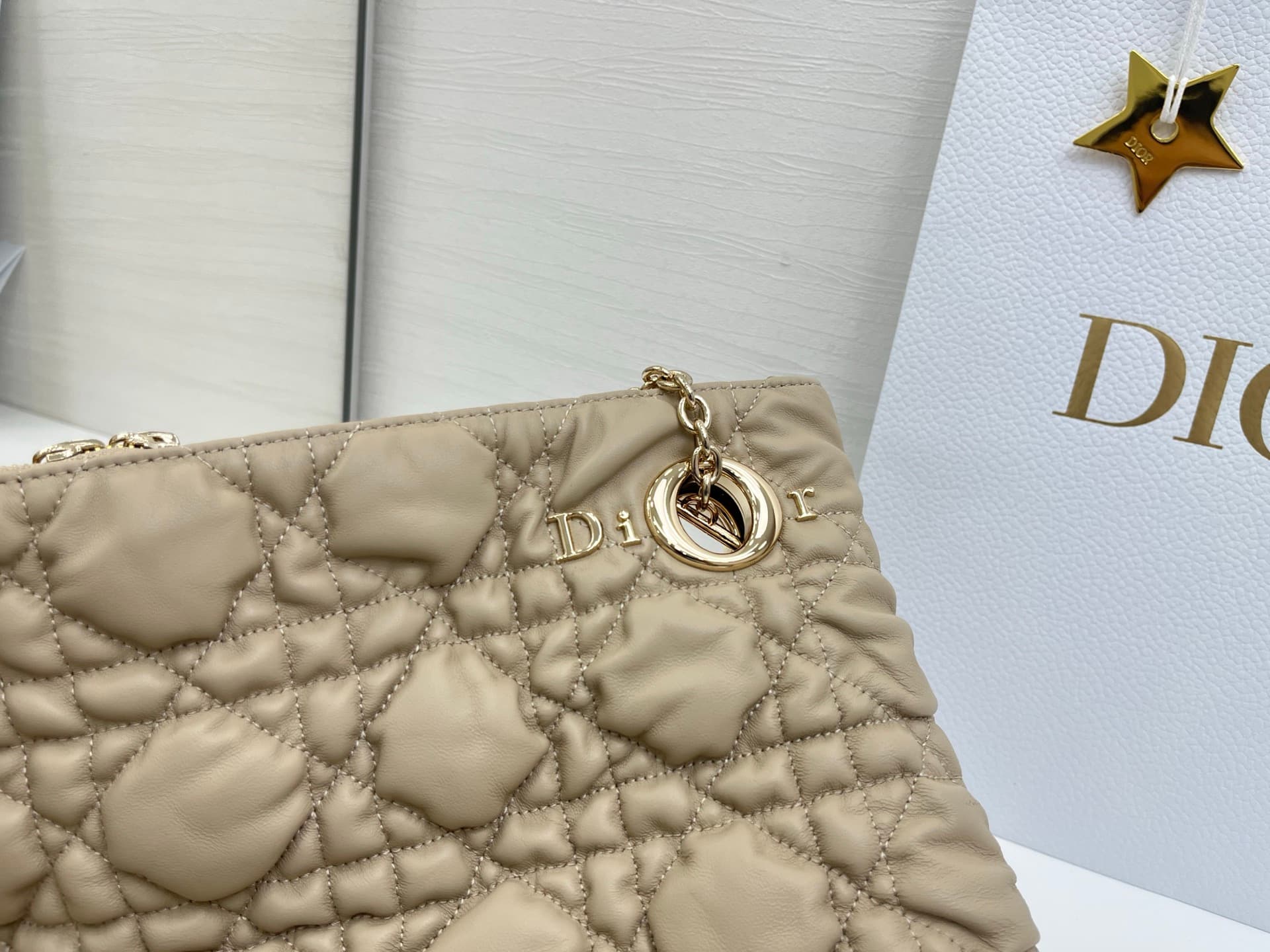Dior Tote Bag