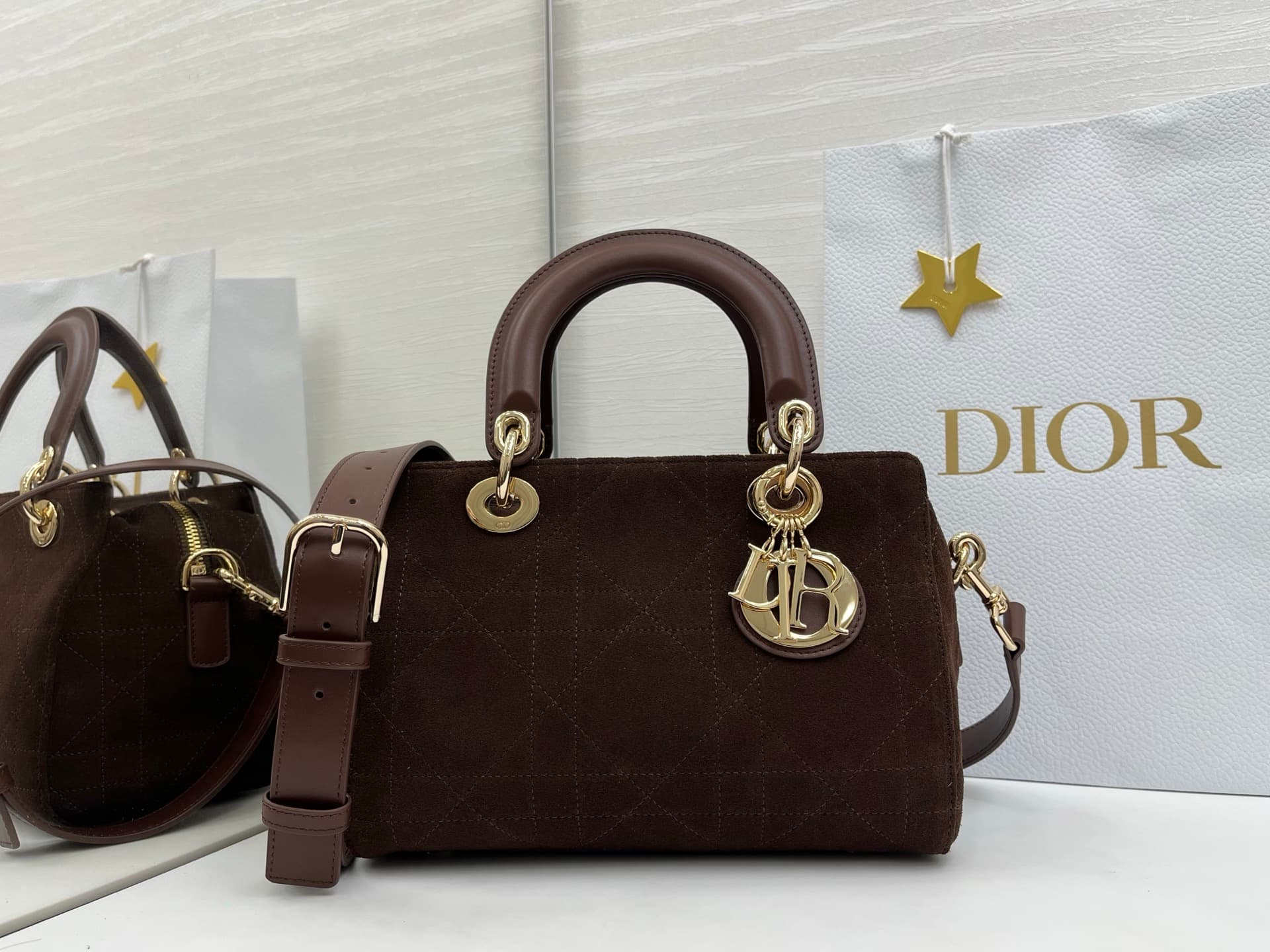 Dior Bag