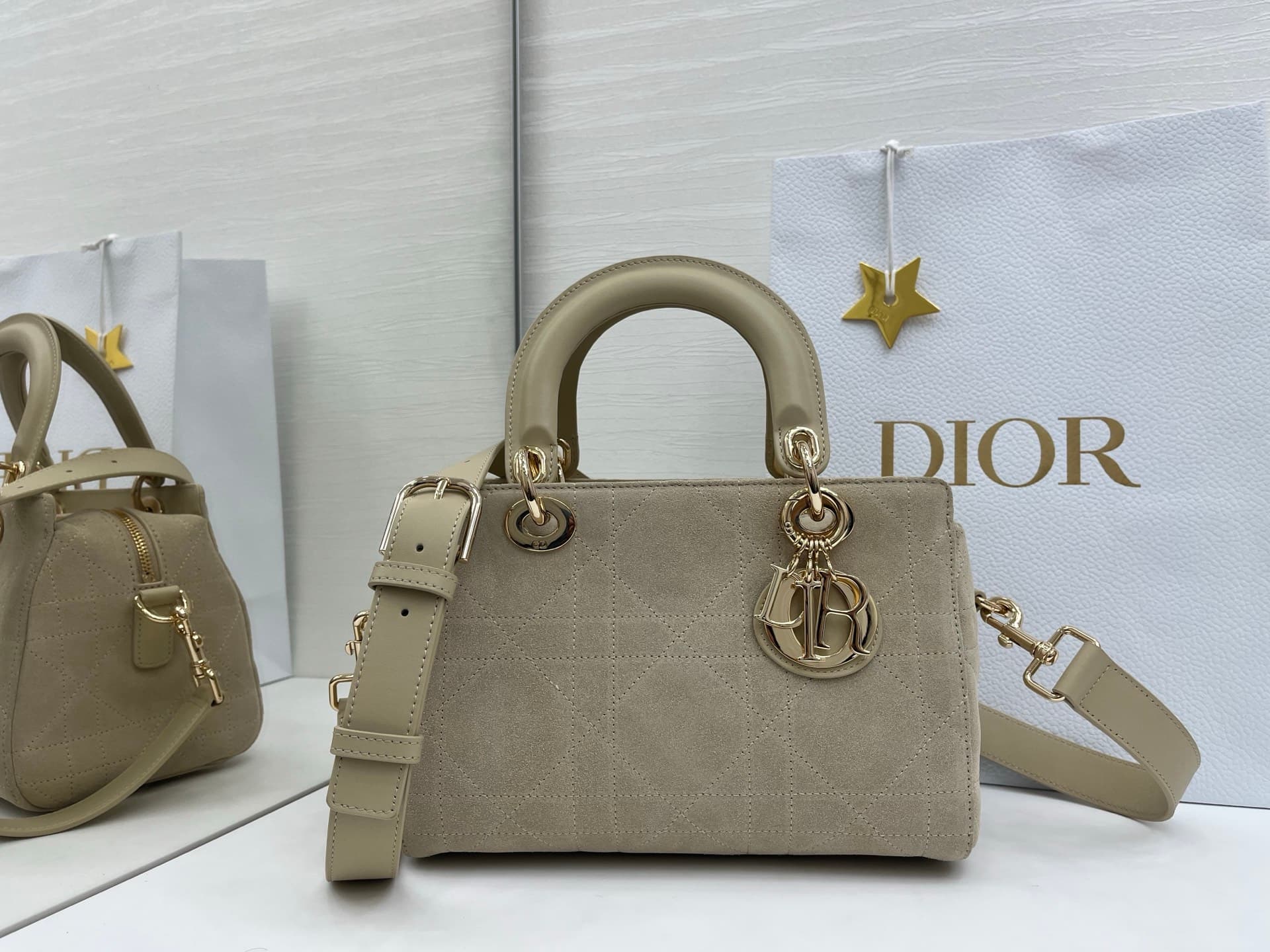 Dior Bag