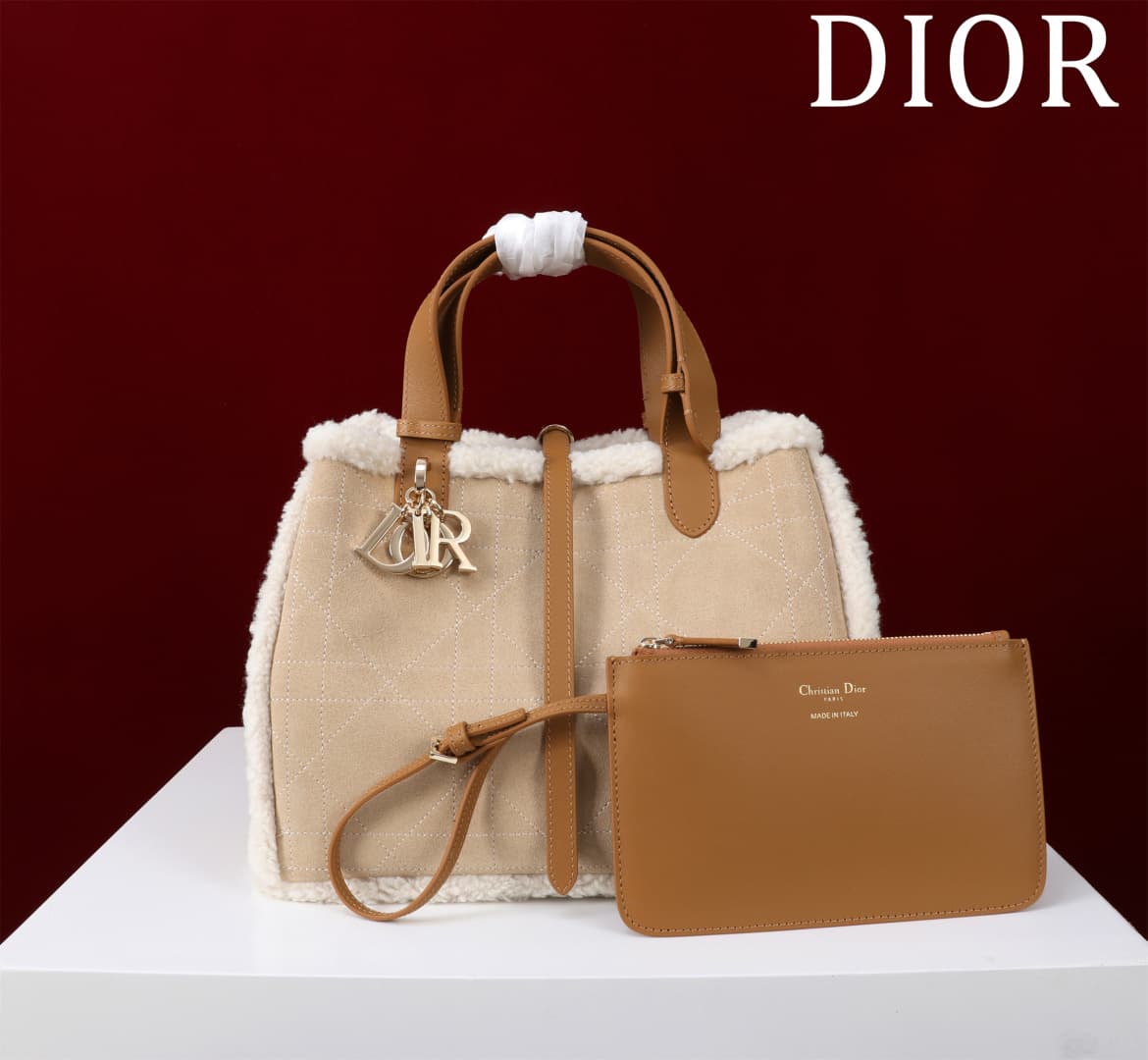 Dior Brown Small Product 1188