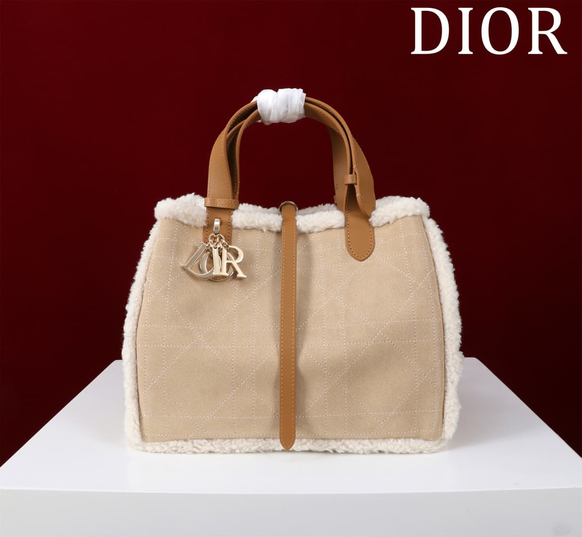 Dior Brown Small Product 1188