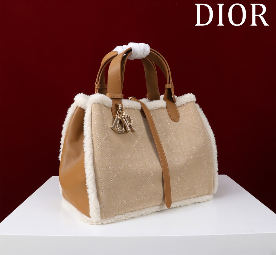 Dior Brown Small Product 1188