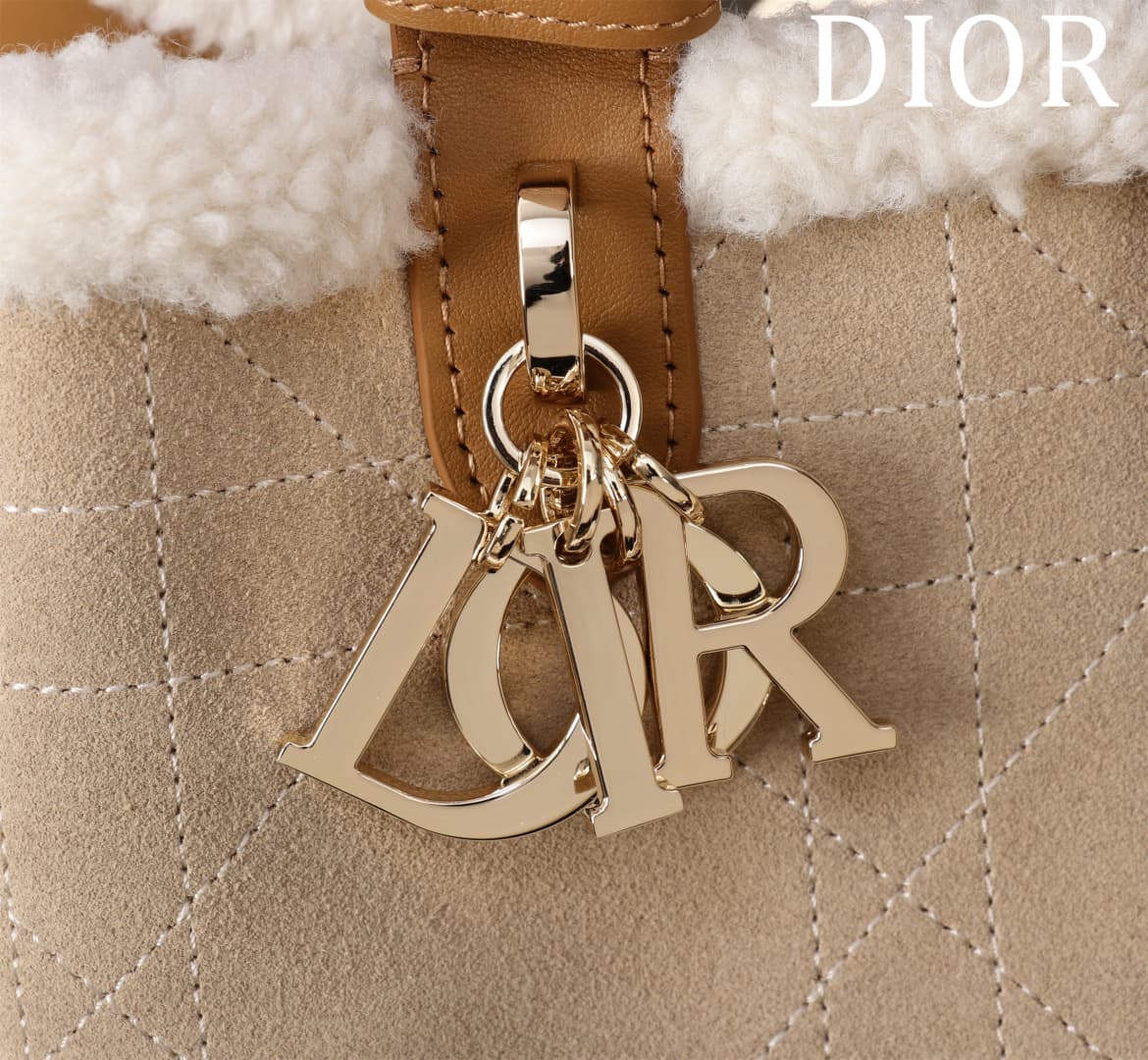 Dior Brown Small Product 1188