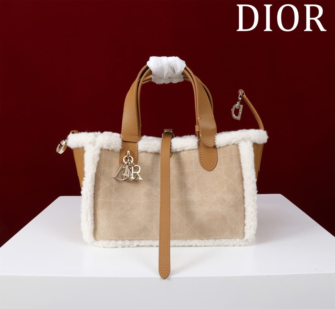 Dior Brown Bag 1188