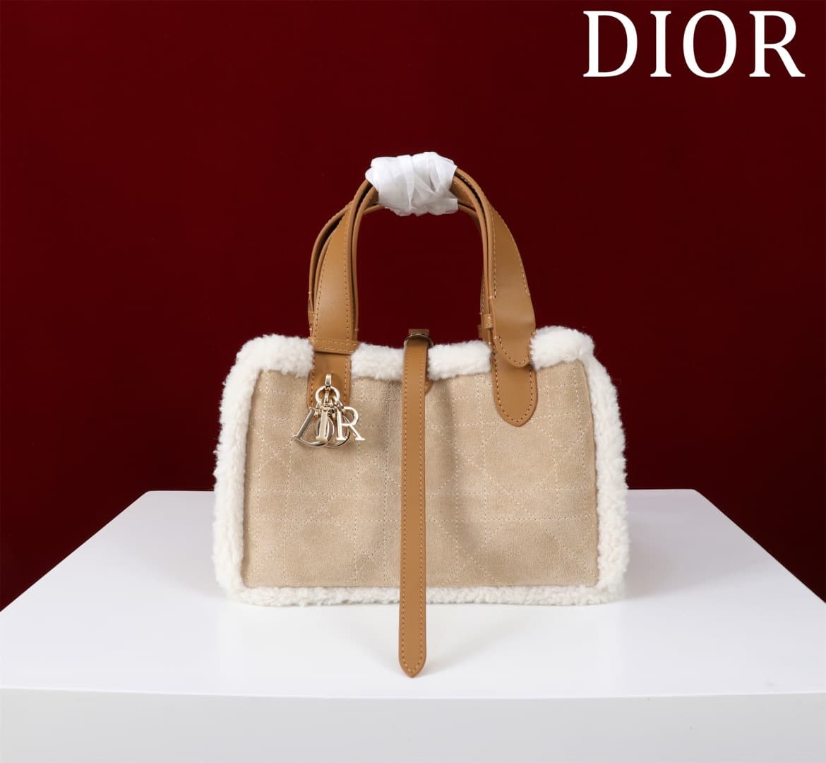 Dior Brown Small Product 1188