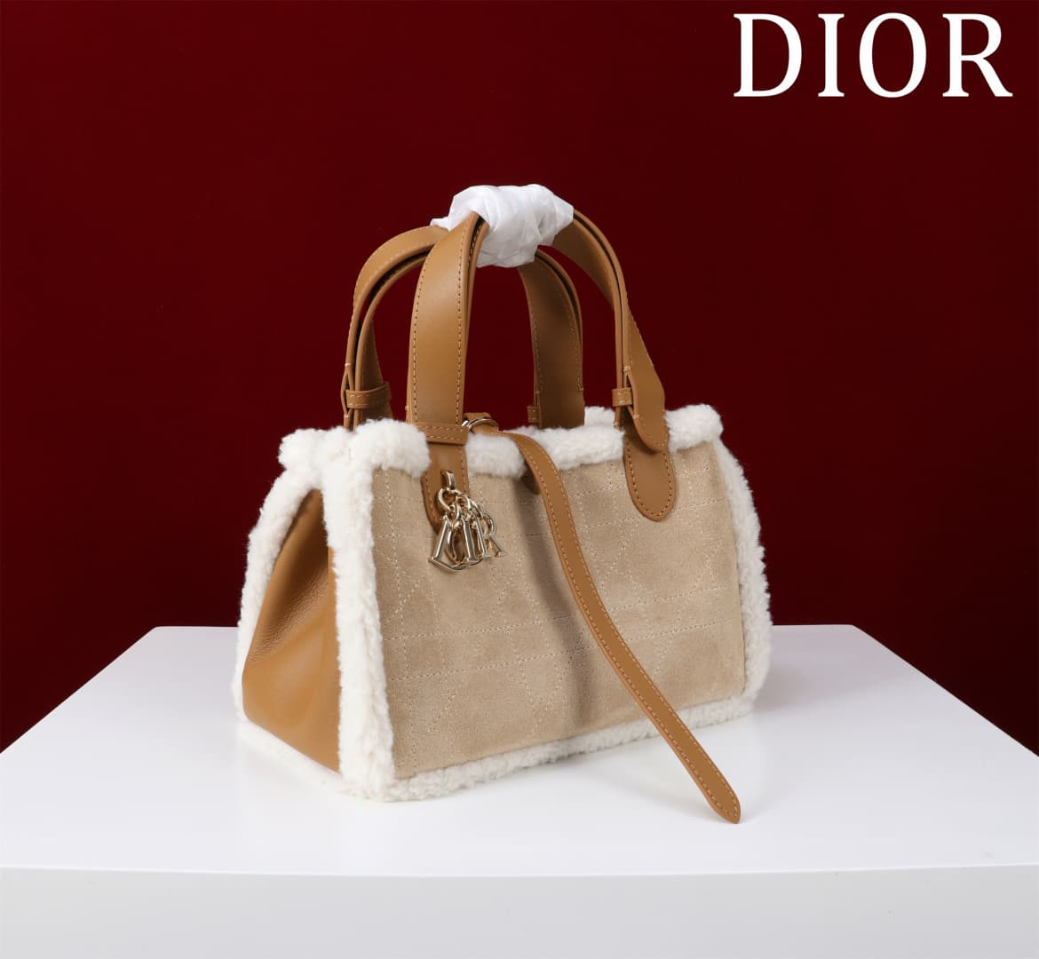 Dior Brown Small Product 1188