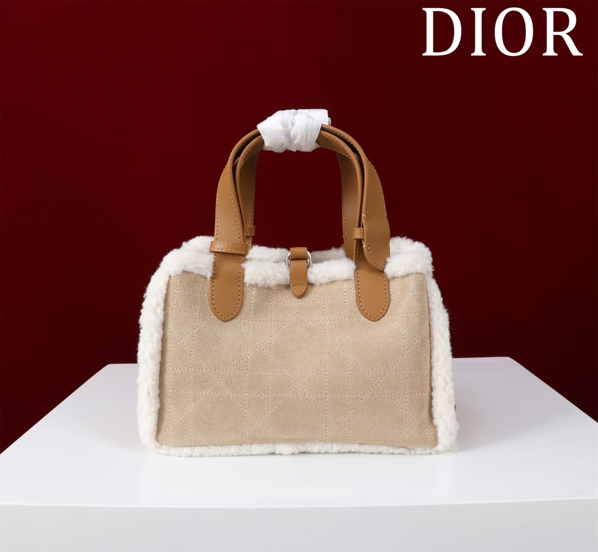 Dior Brown Small Product 1188