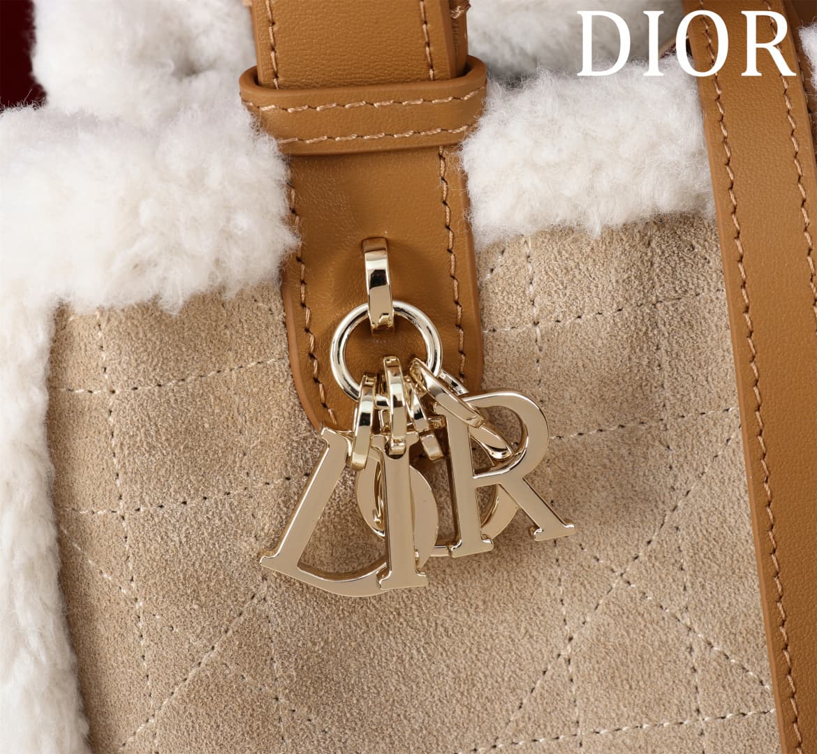 Dior Brown Small Product 1188
