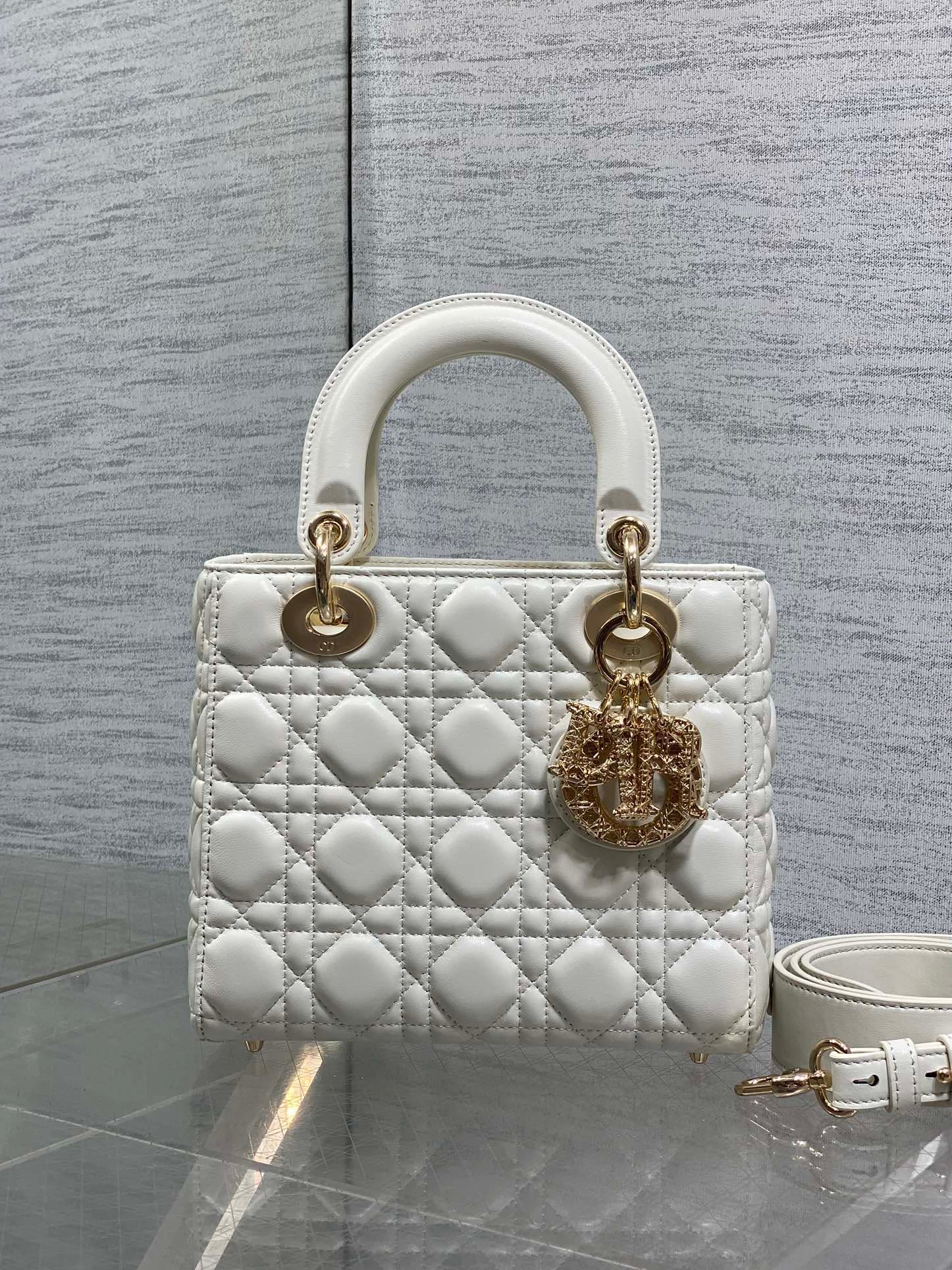 Dior Crossbody Bag