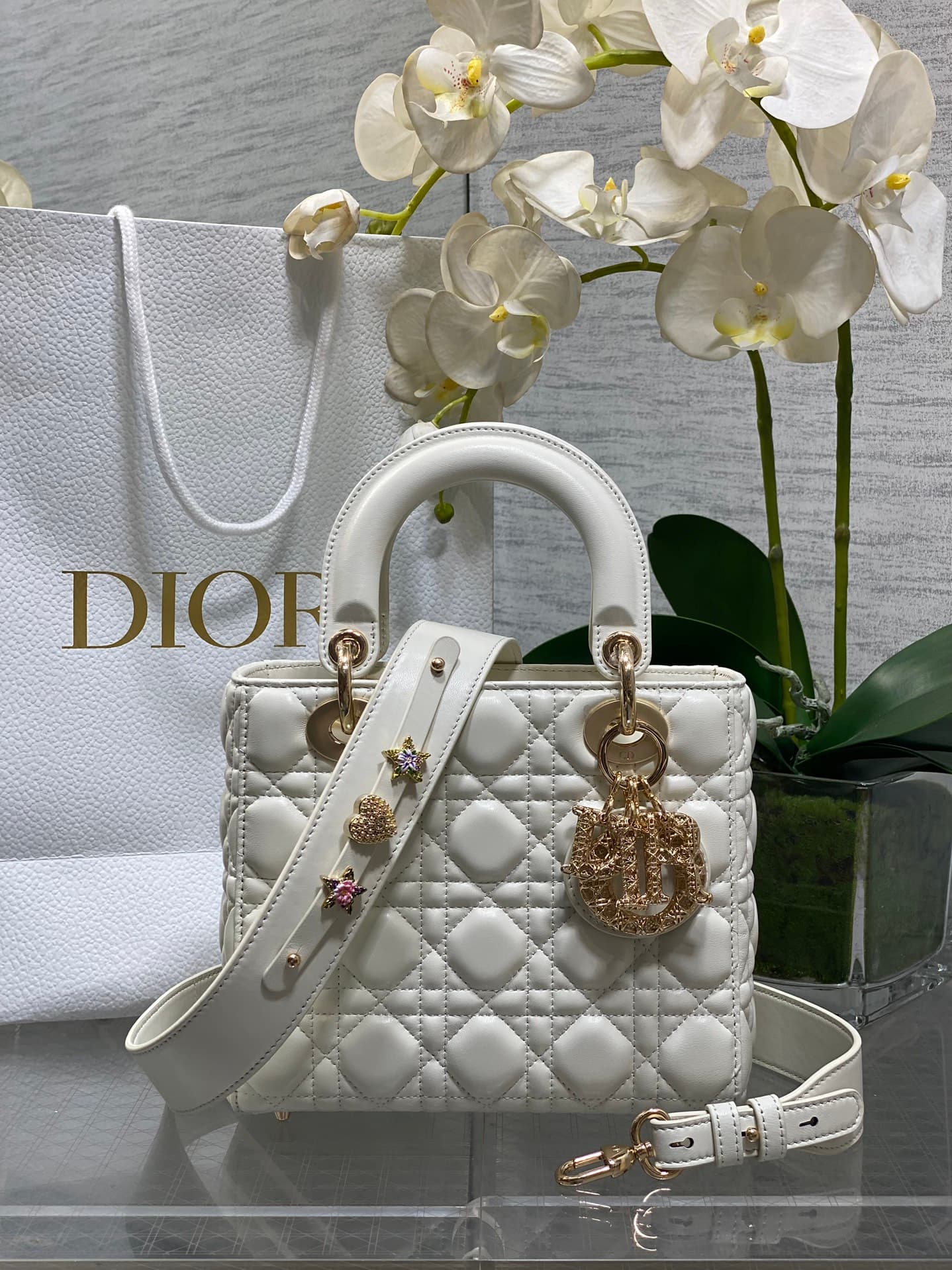 Dior Bag
