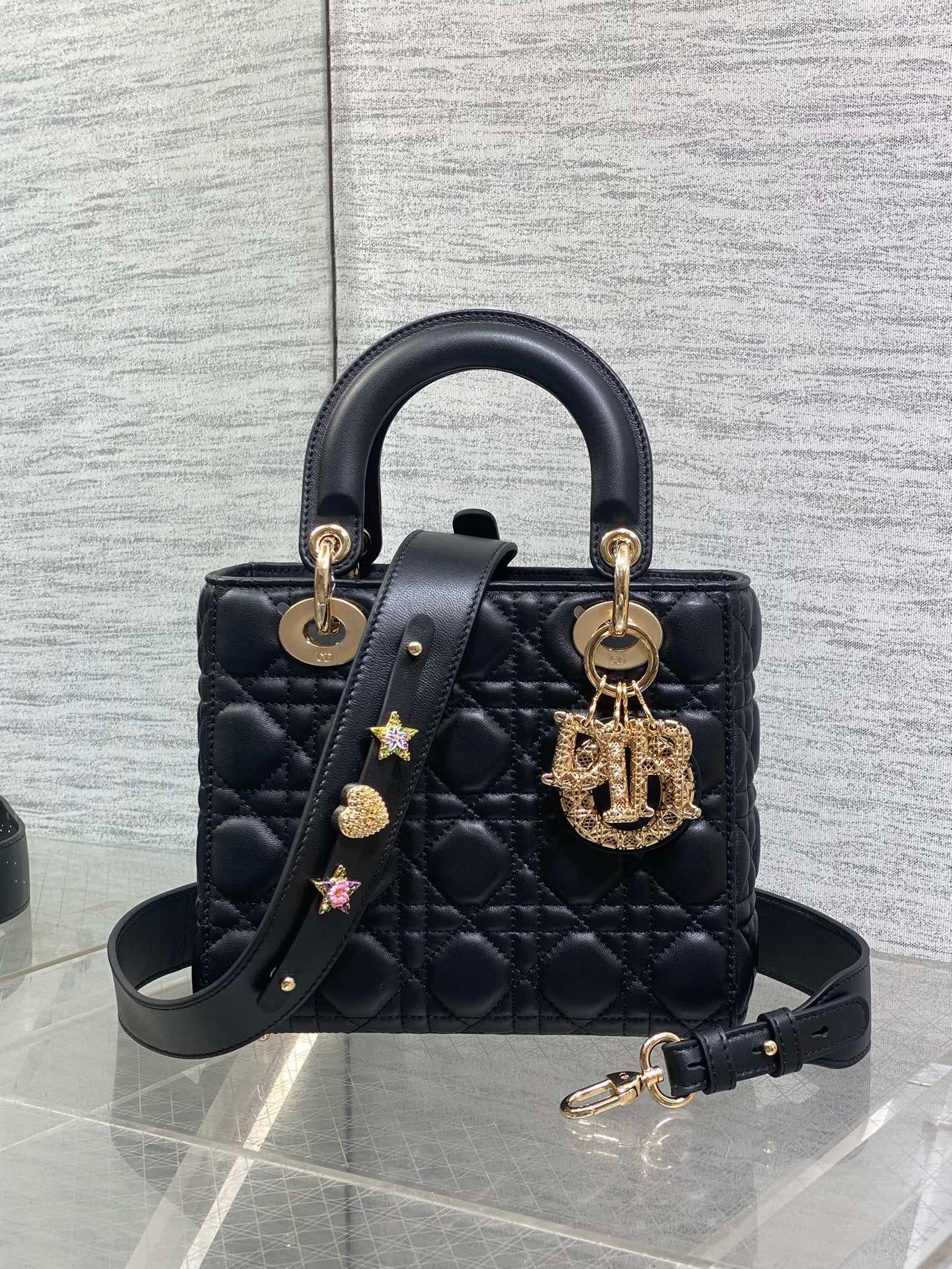Dior Crossbody Bag