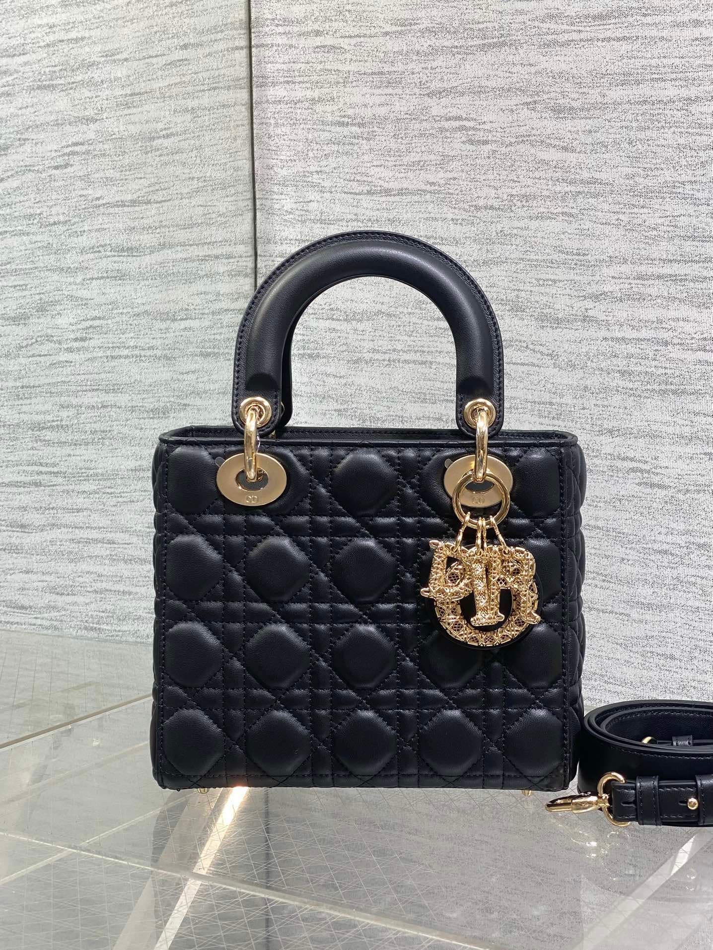 Dior Crossbody Bag