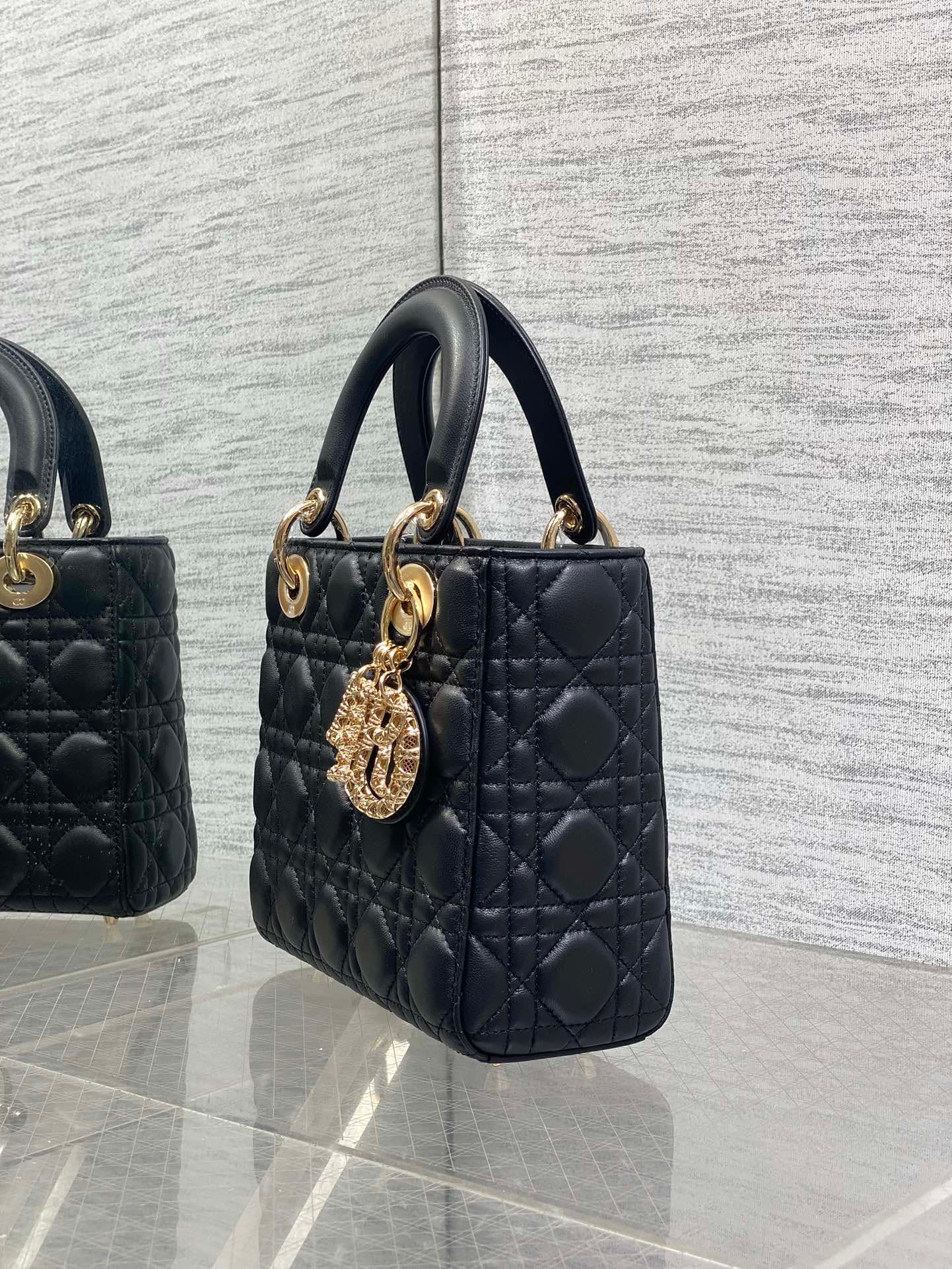 Dior Crossbody Bag