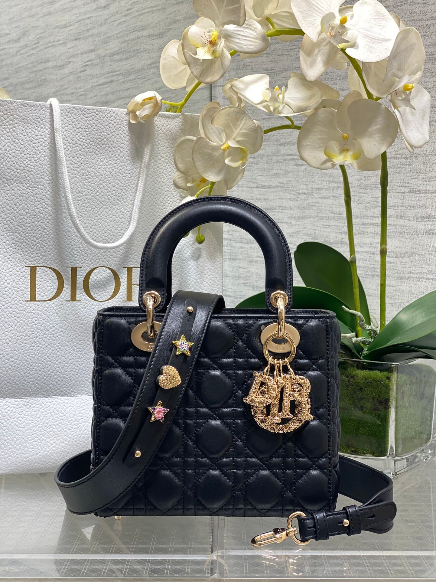 Dior Bag