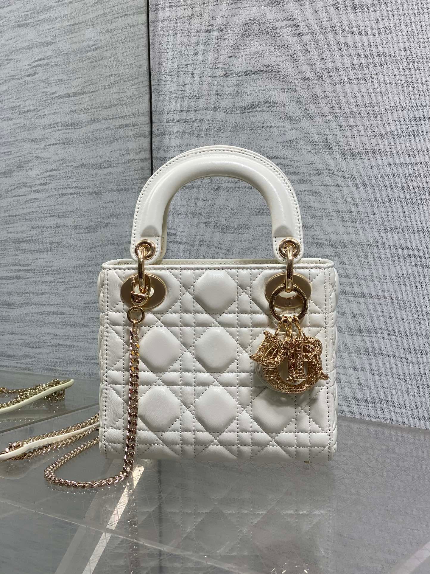 Dior Crossbody Bag