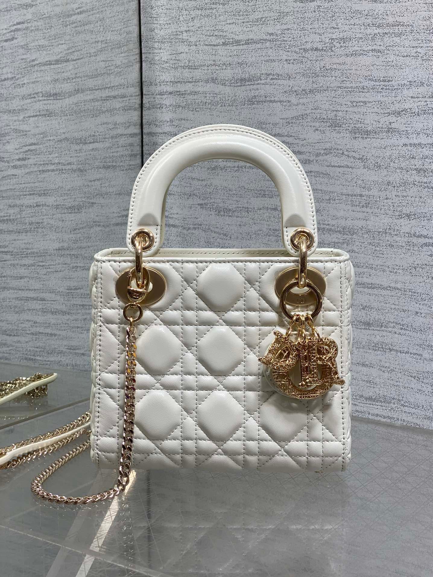 Dior Crossbody Bag