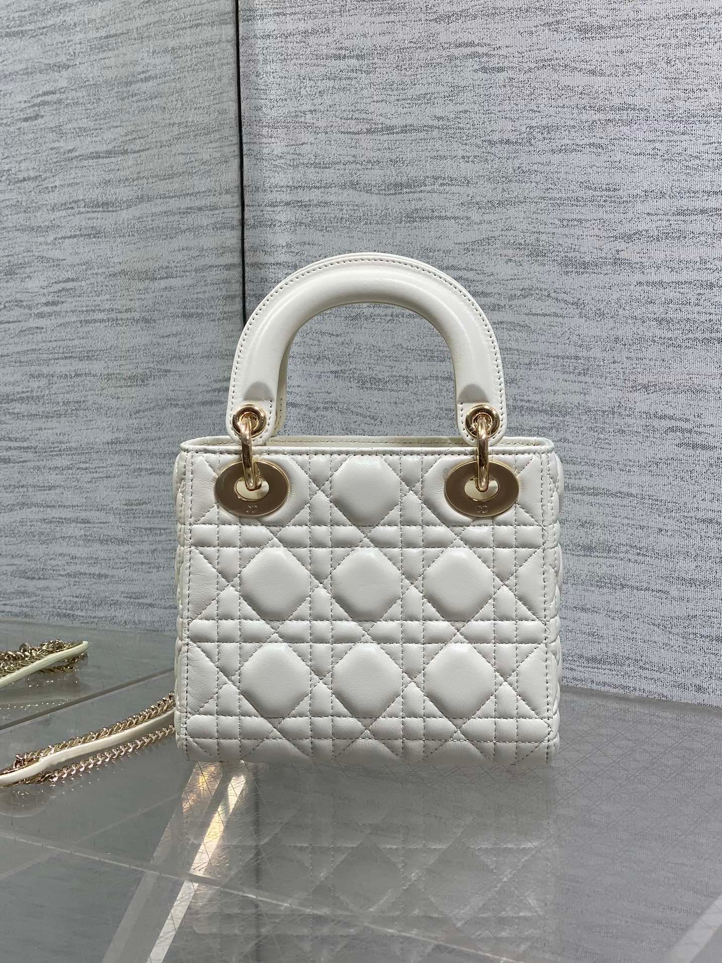 Dior Crossbody Bag