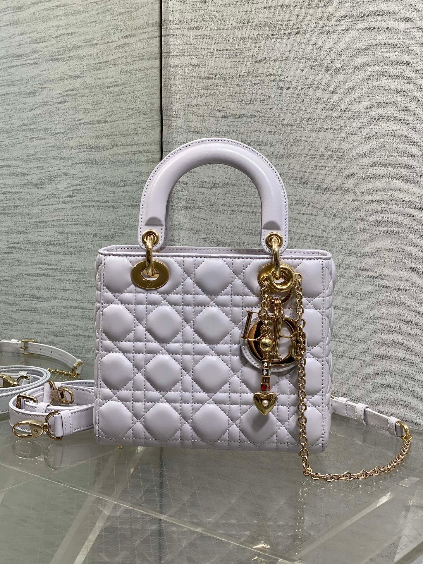 Dior Gold Crossbody Bag