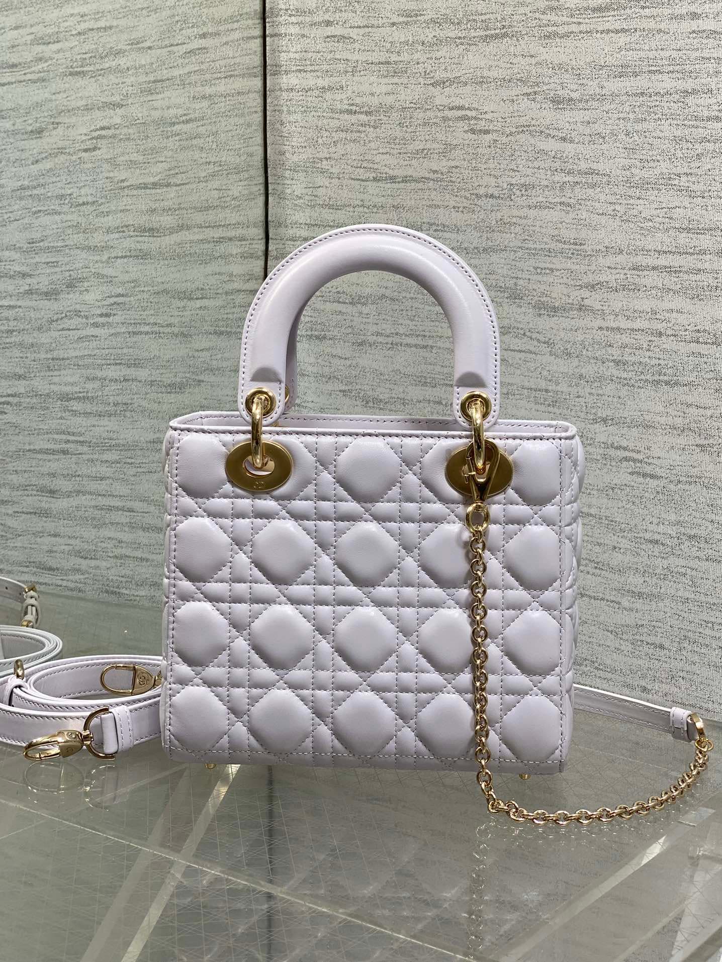 Dior Gold Crossbody Bag