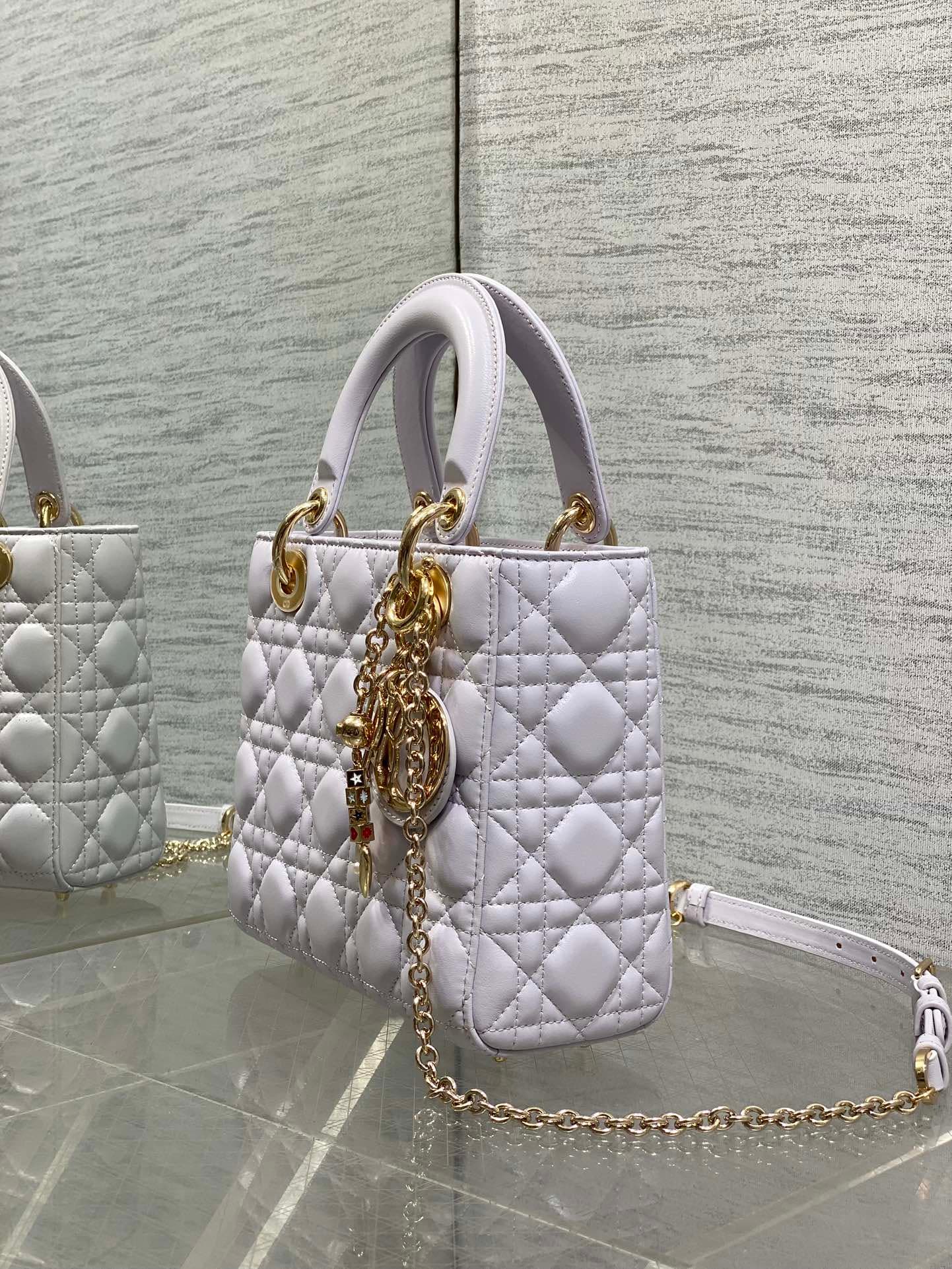 Dior Gold Crossbody Bag