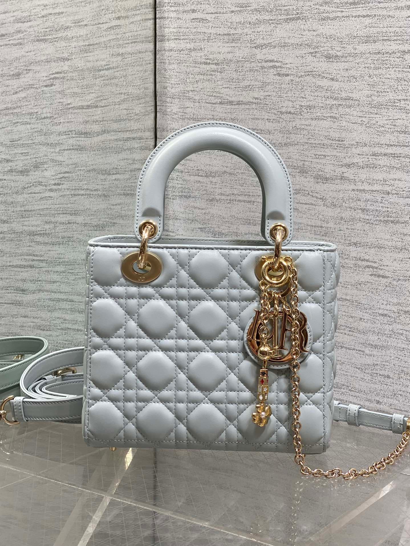 Dior Gold Crossbody Bag