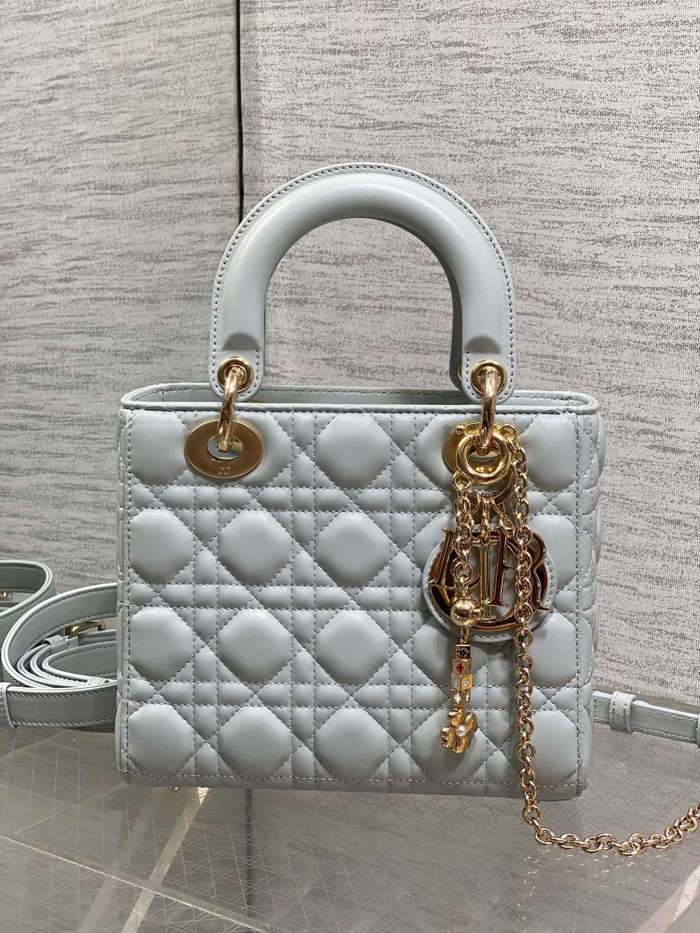 Dior Gold Crossbody Bag