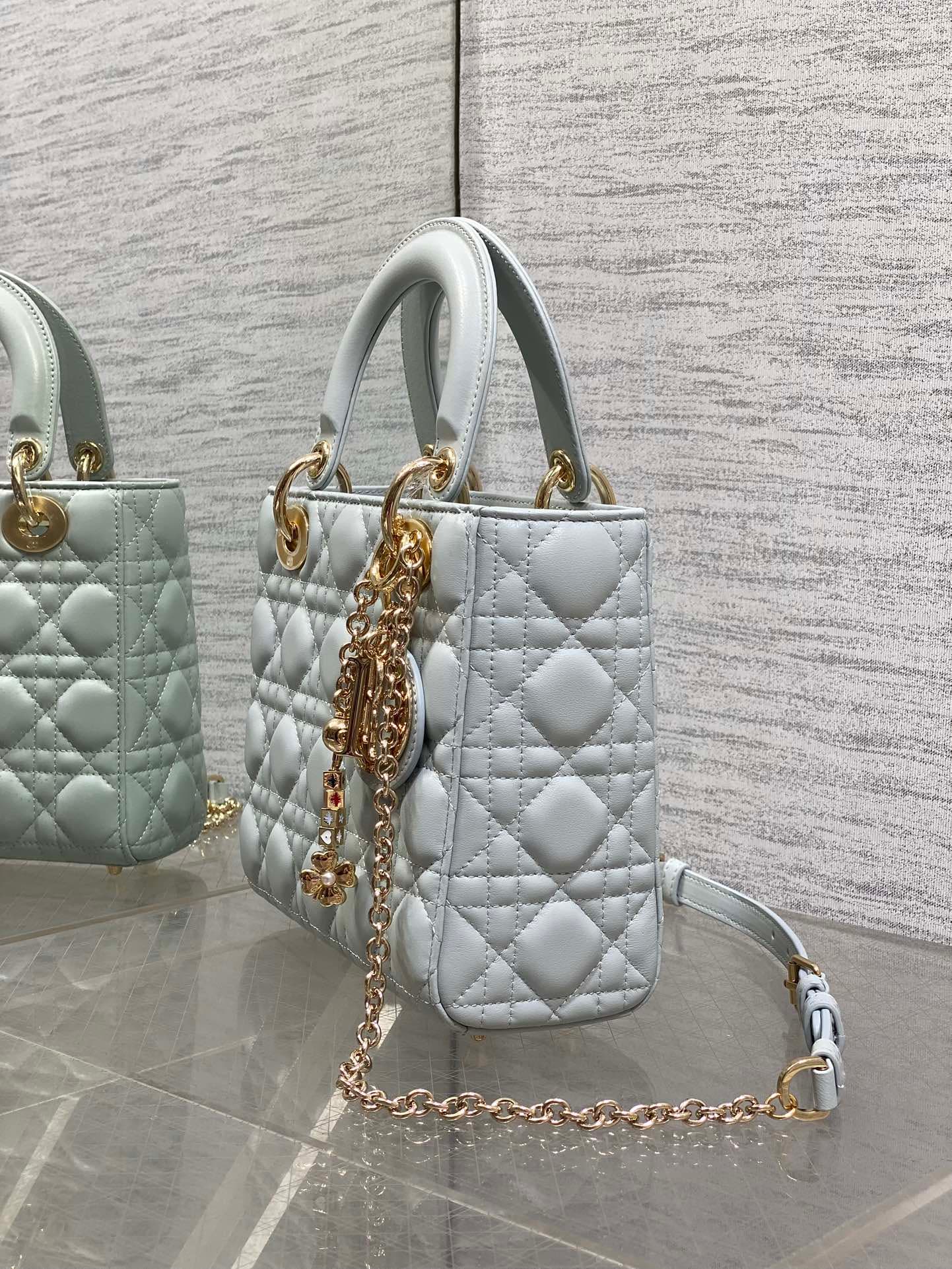 Dior Gold Crossbody Bag