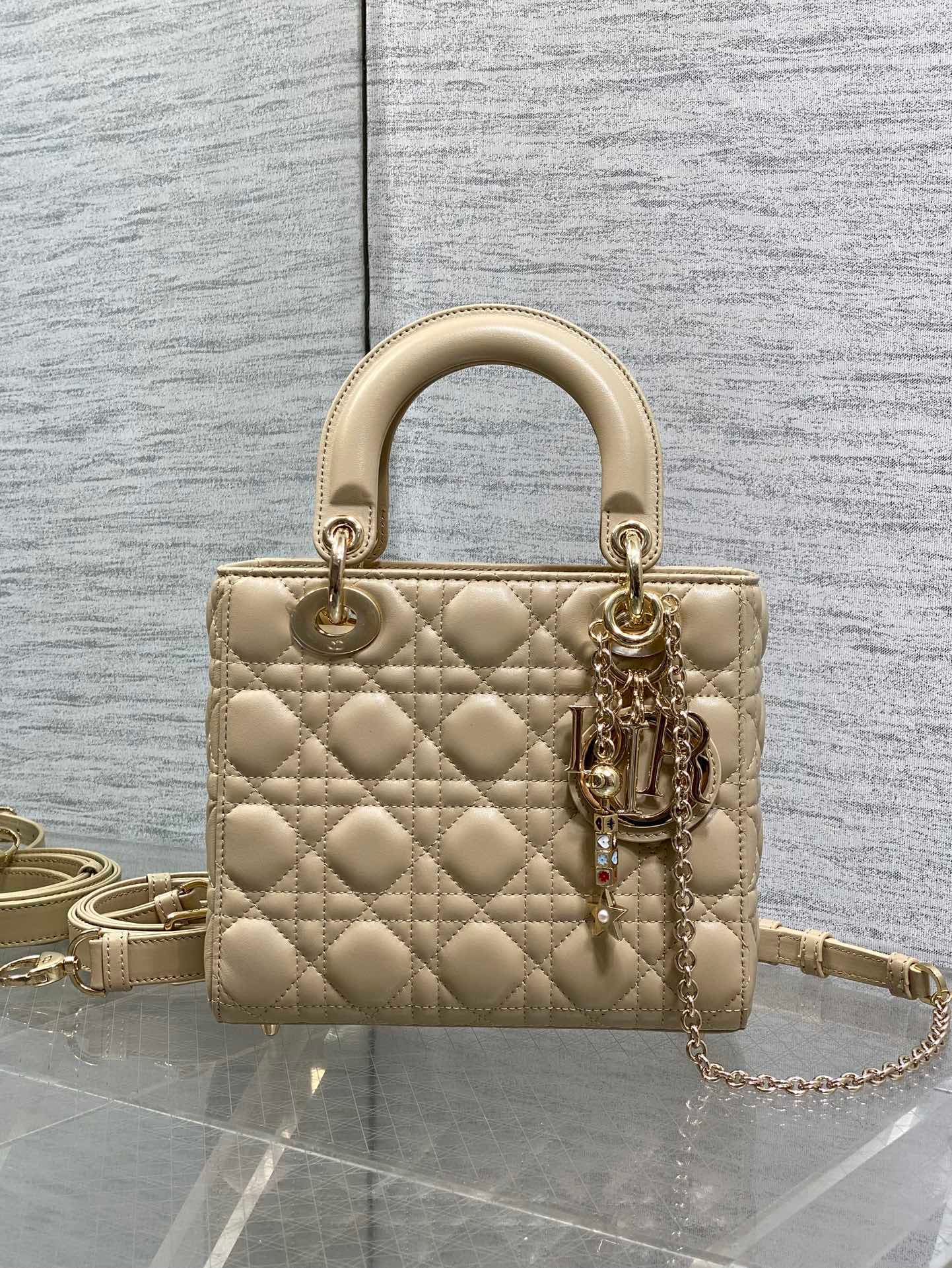Dior Gold Crossbody Bag