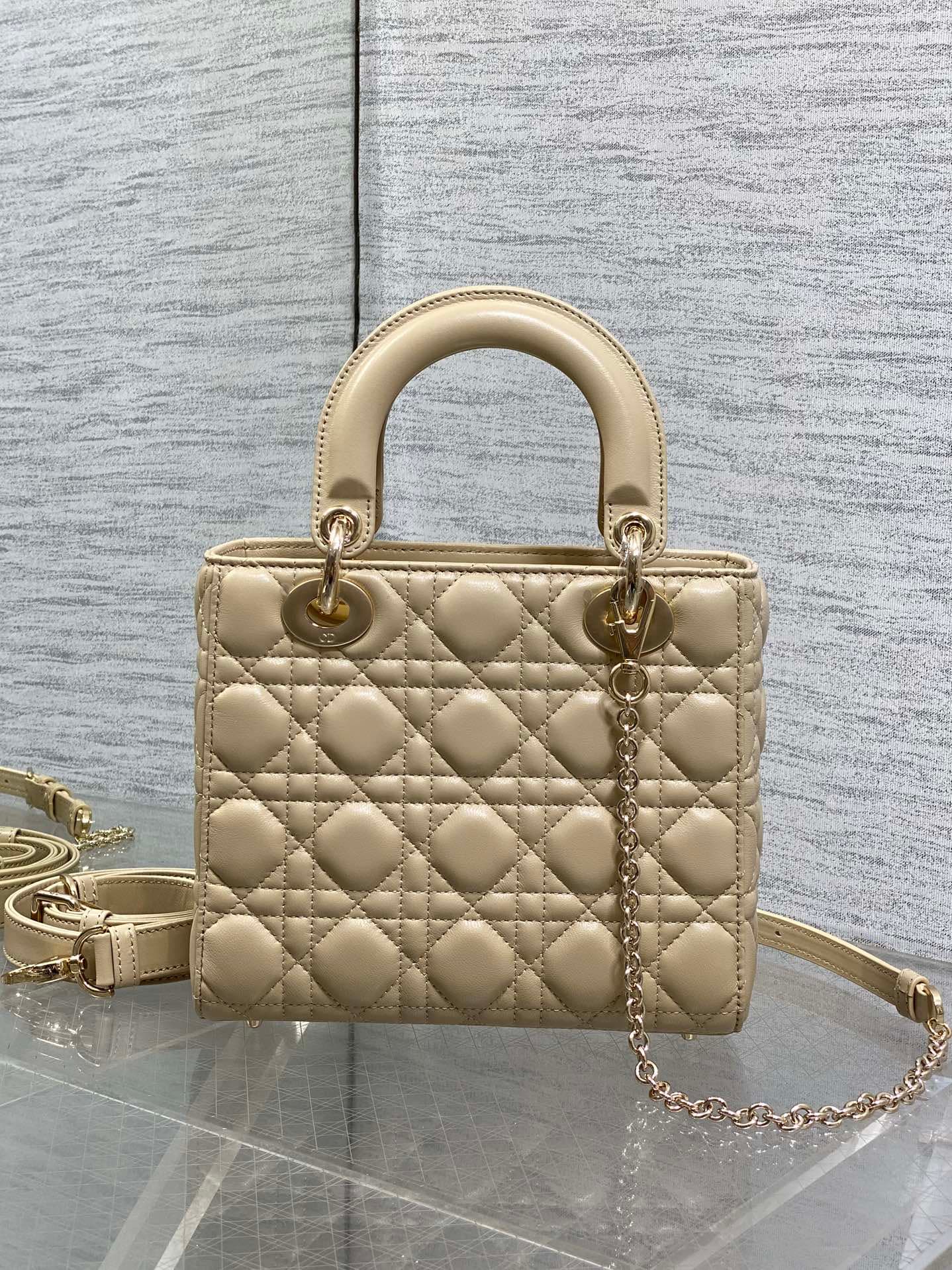 Dior Gold Crossbody Bag