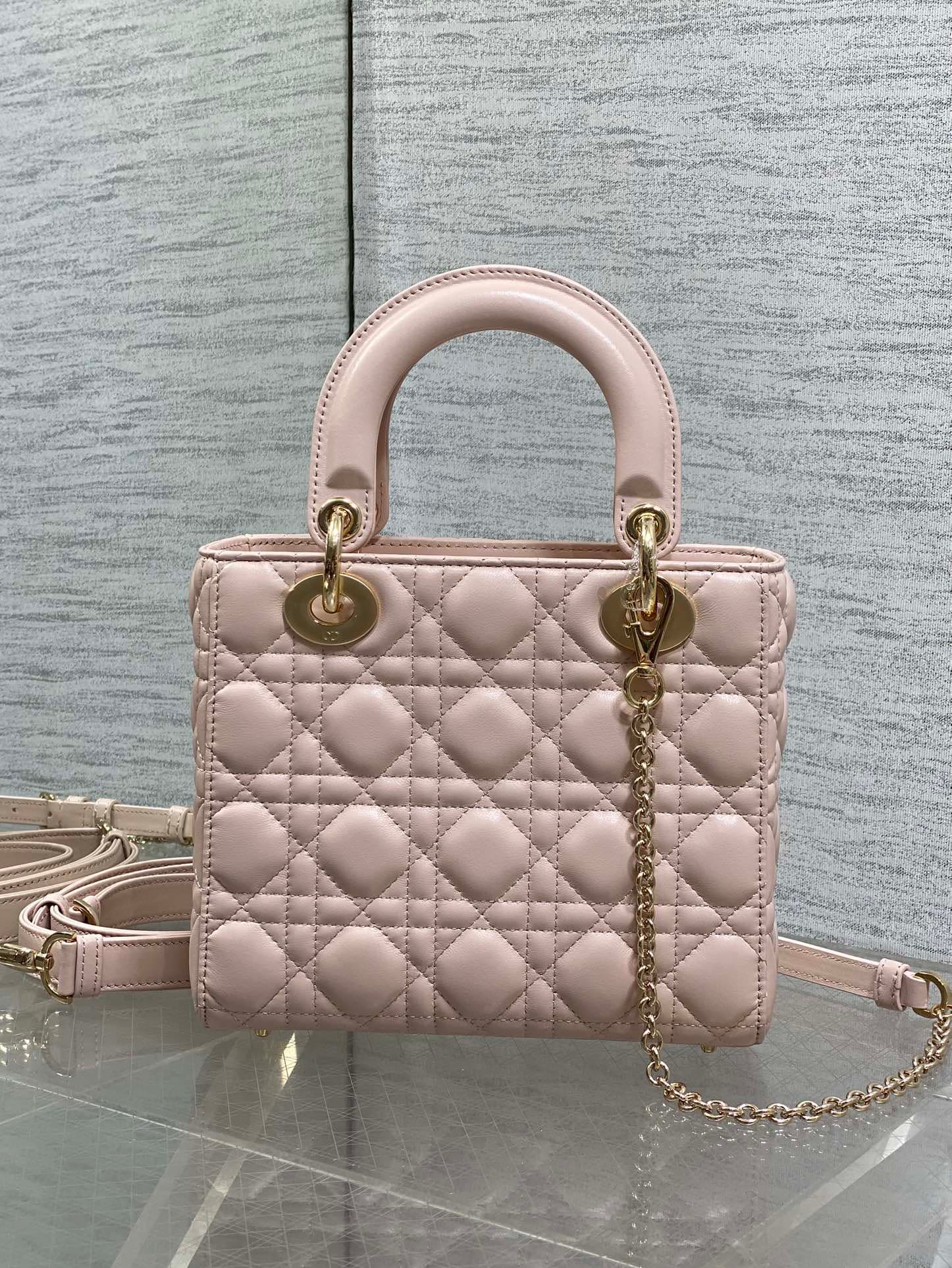 Dior Gold Crossbody Bag