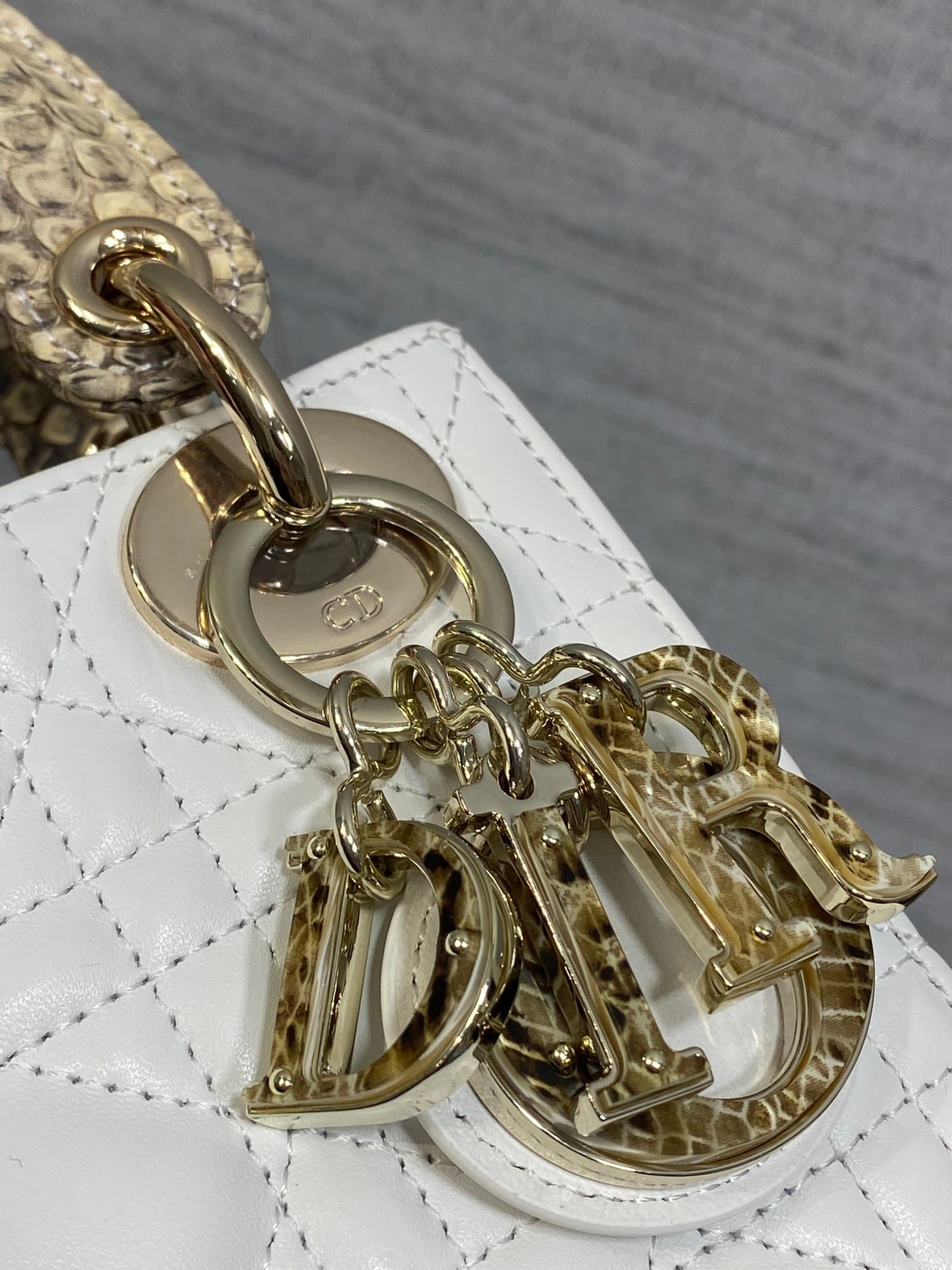 Dior Bag
