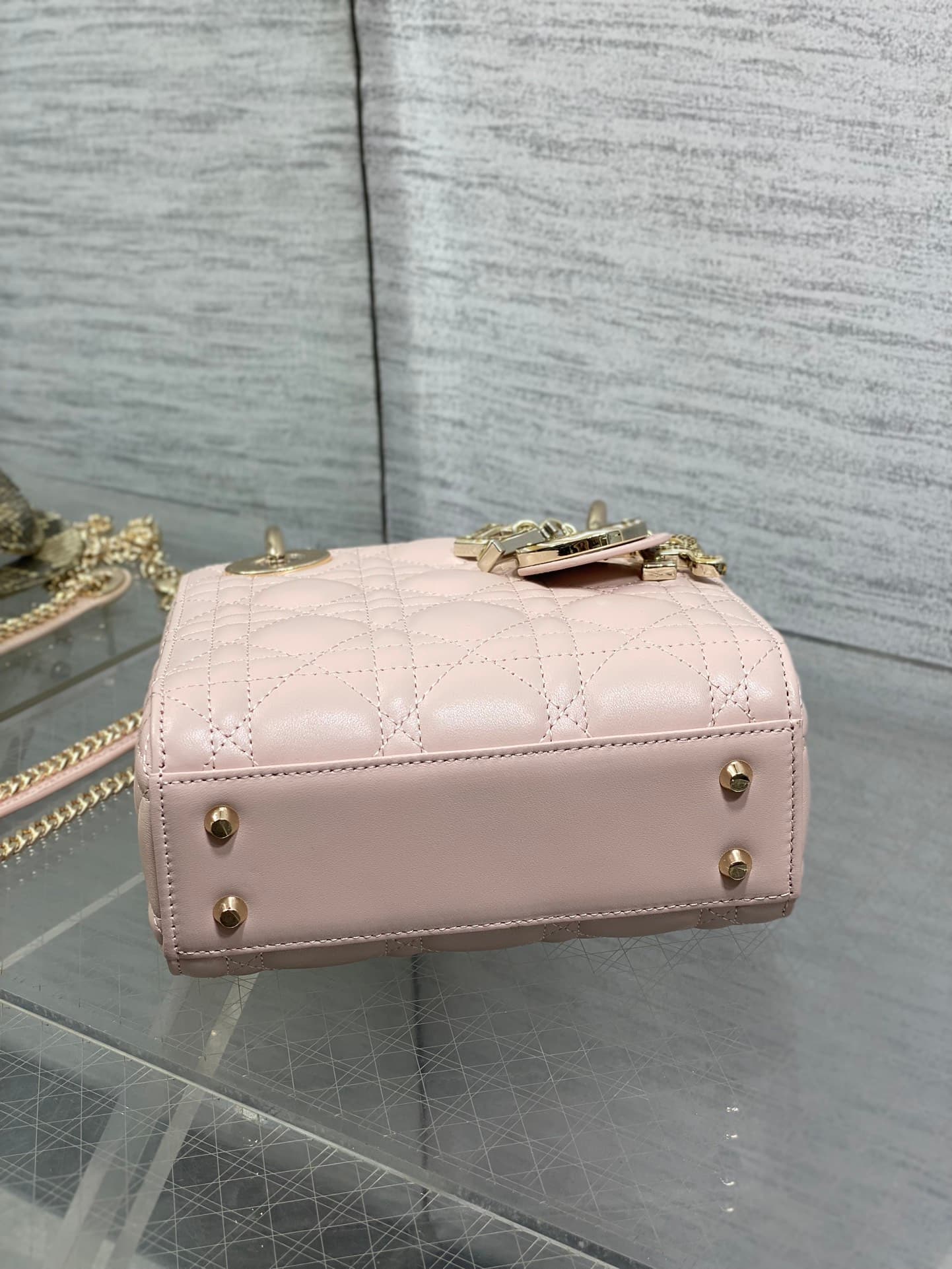 Dior Bag