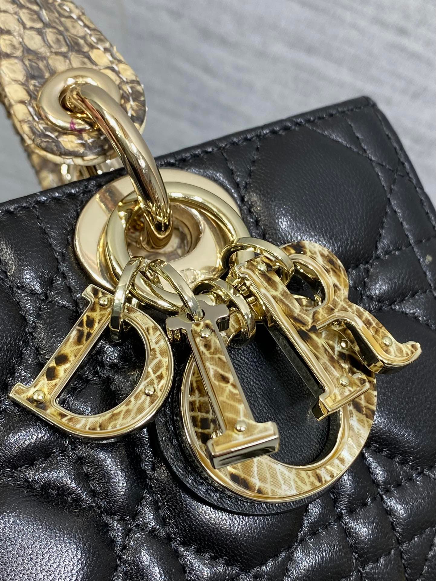 Dior Bag