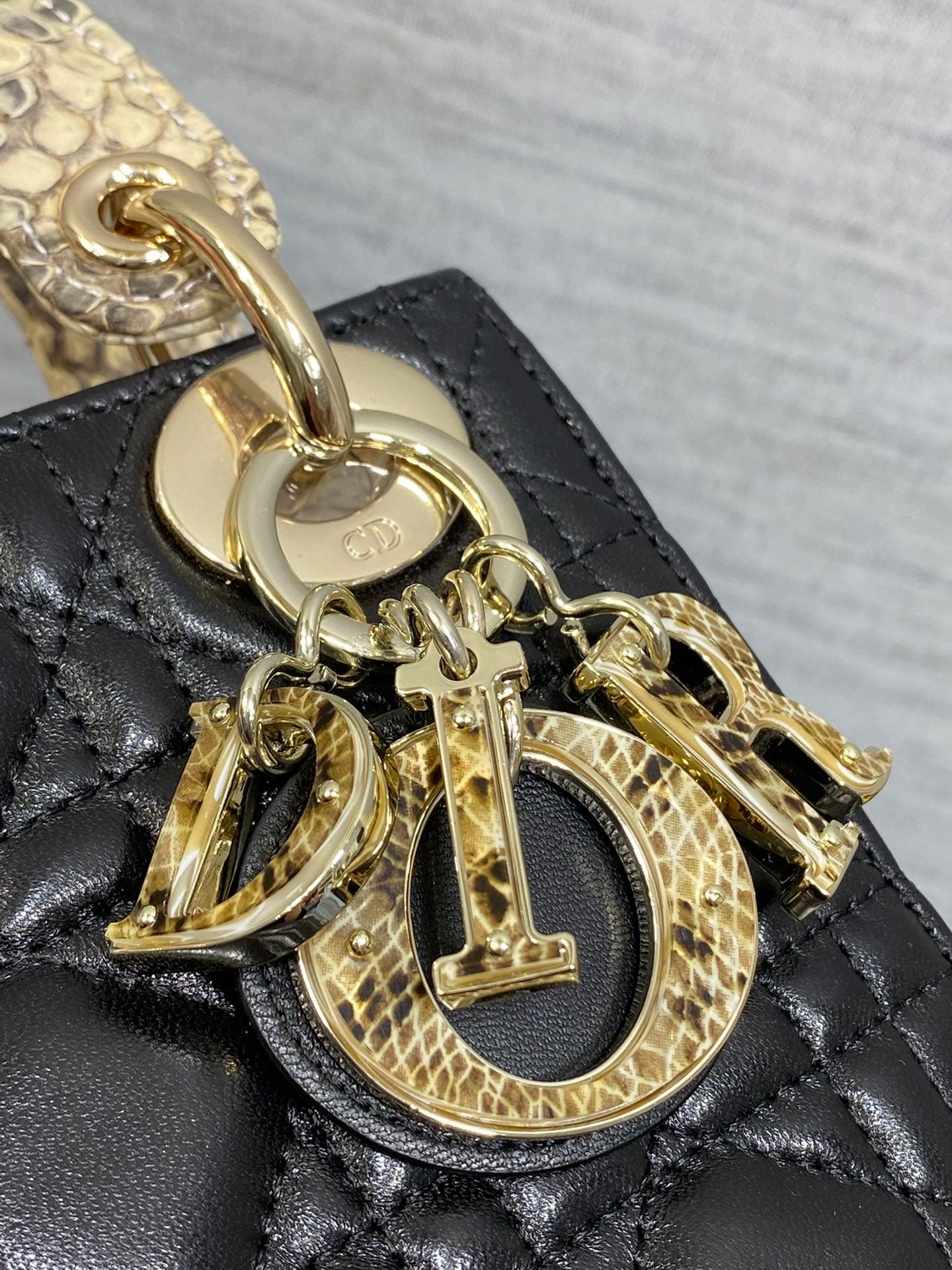 Dior Bag