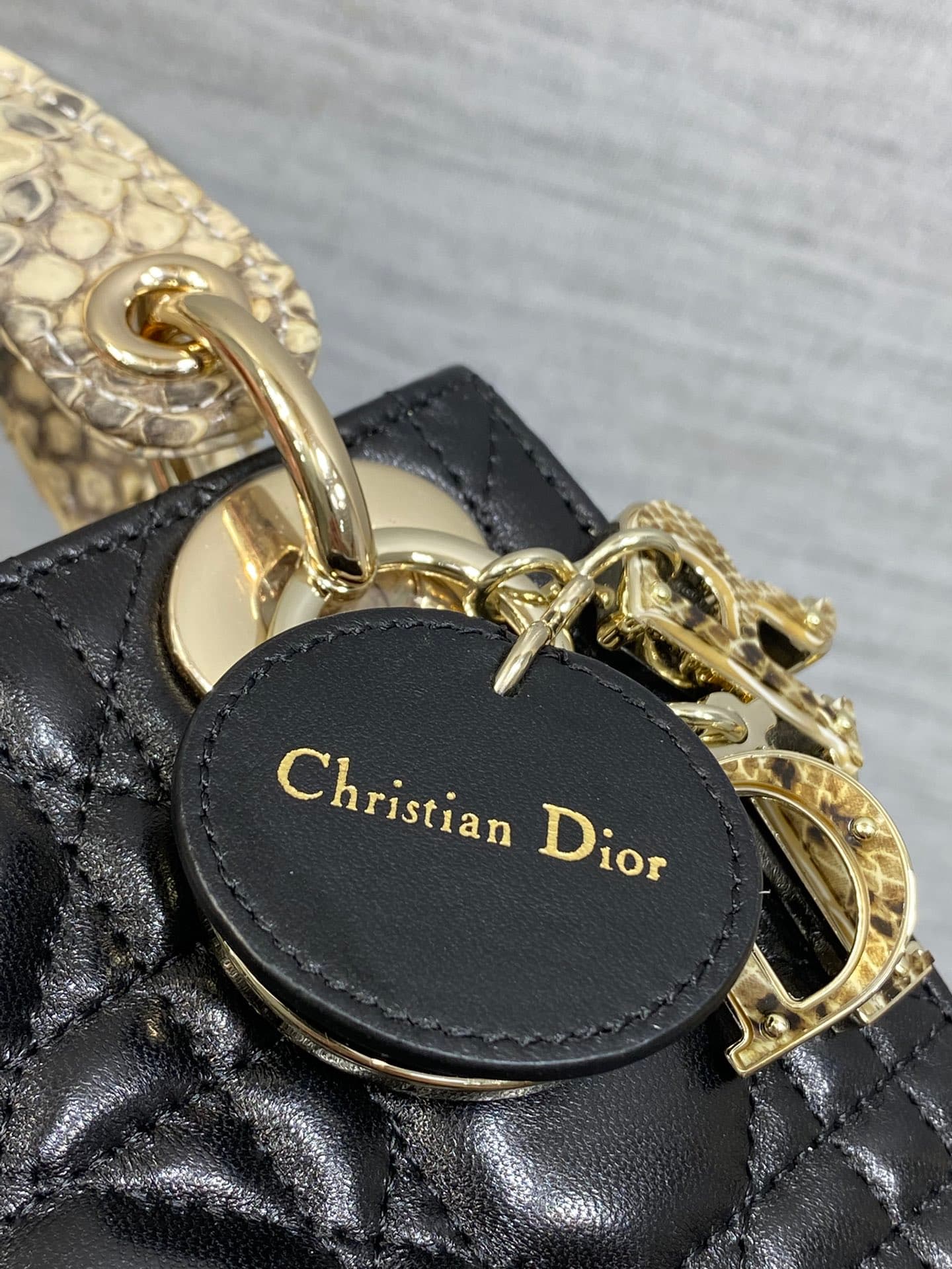 Dior Bag
