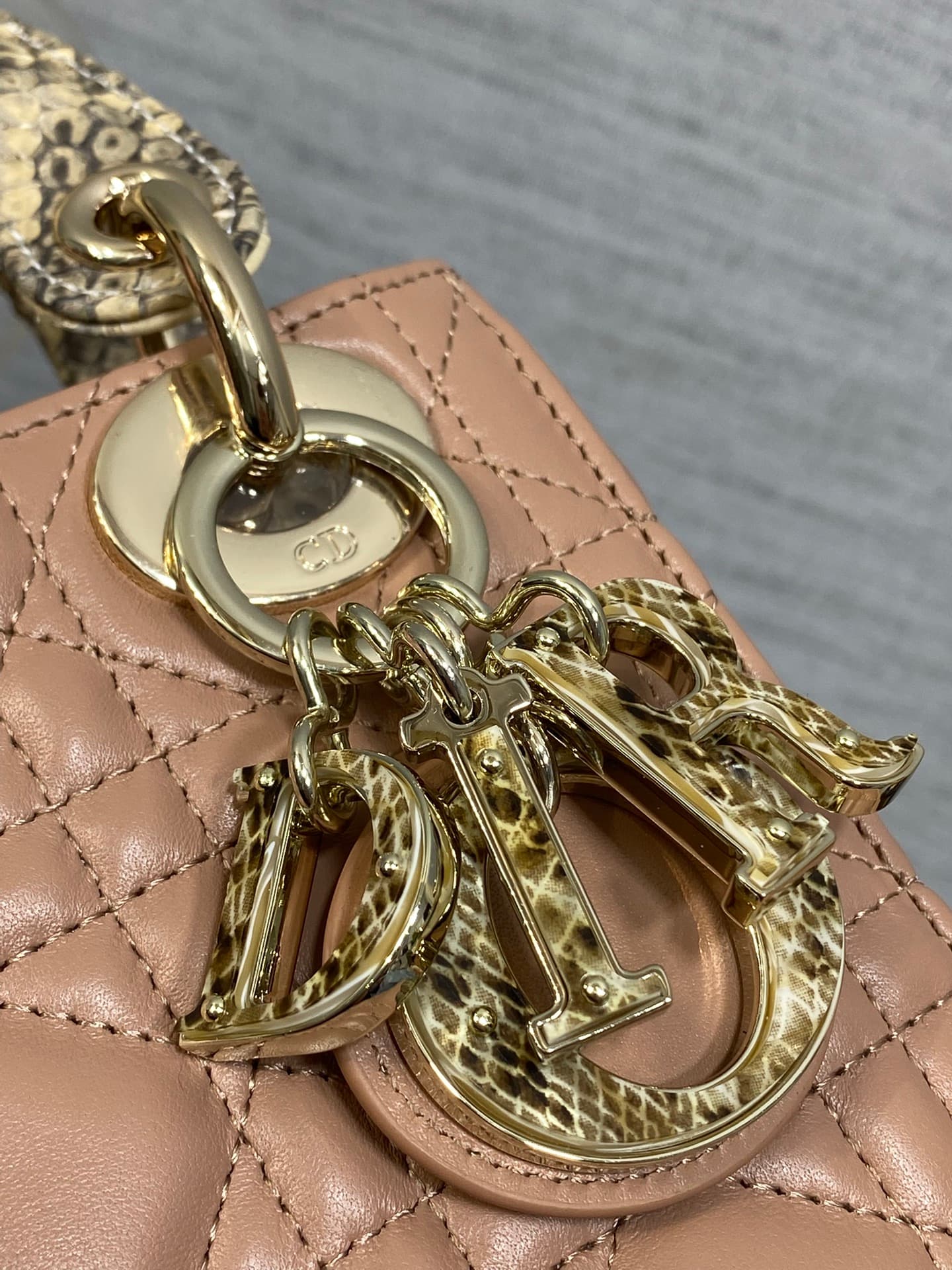 Dior Bag