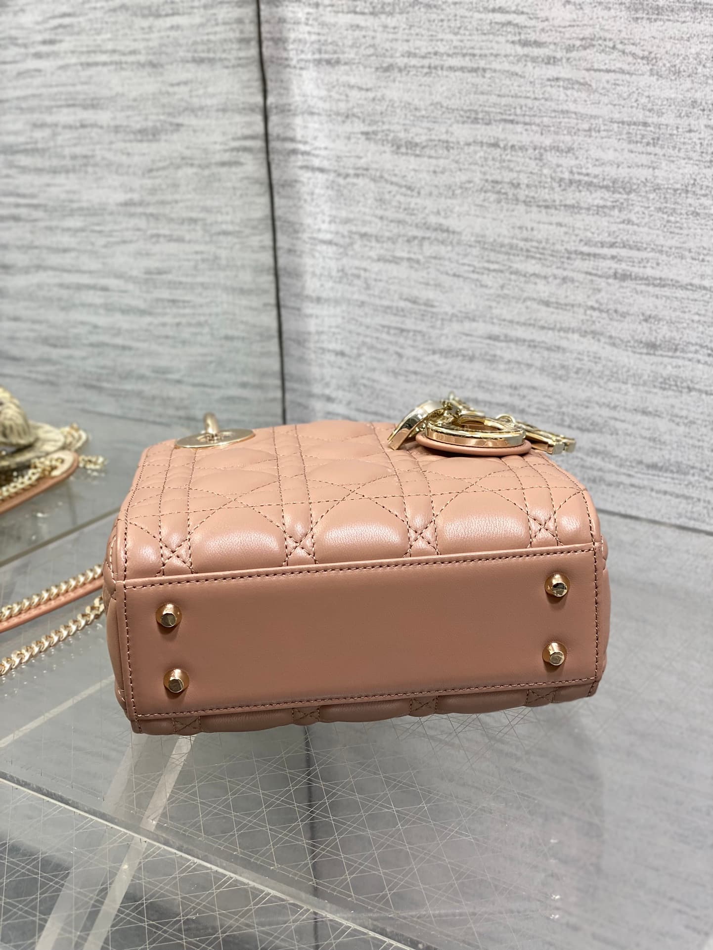 Dior Bag