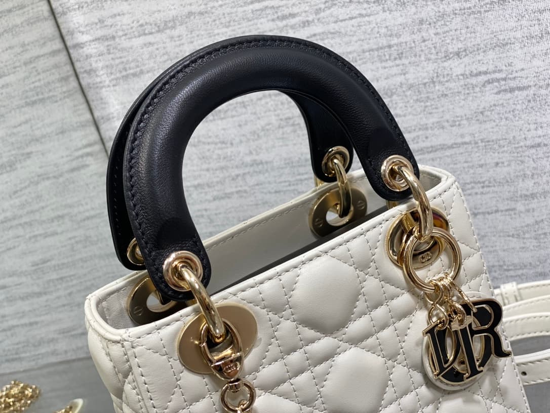 Dior Crossbody Bag